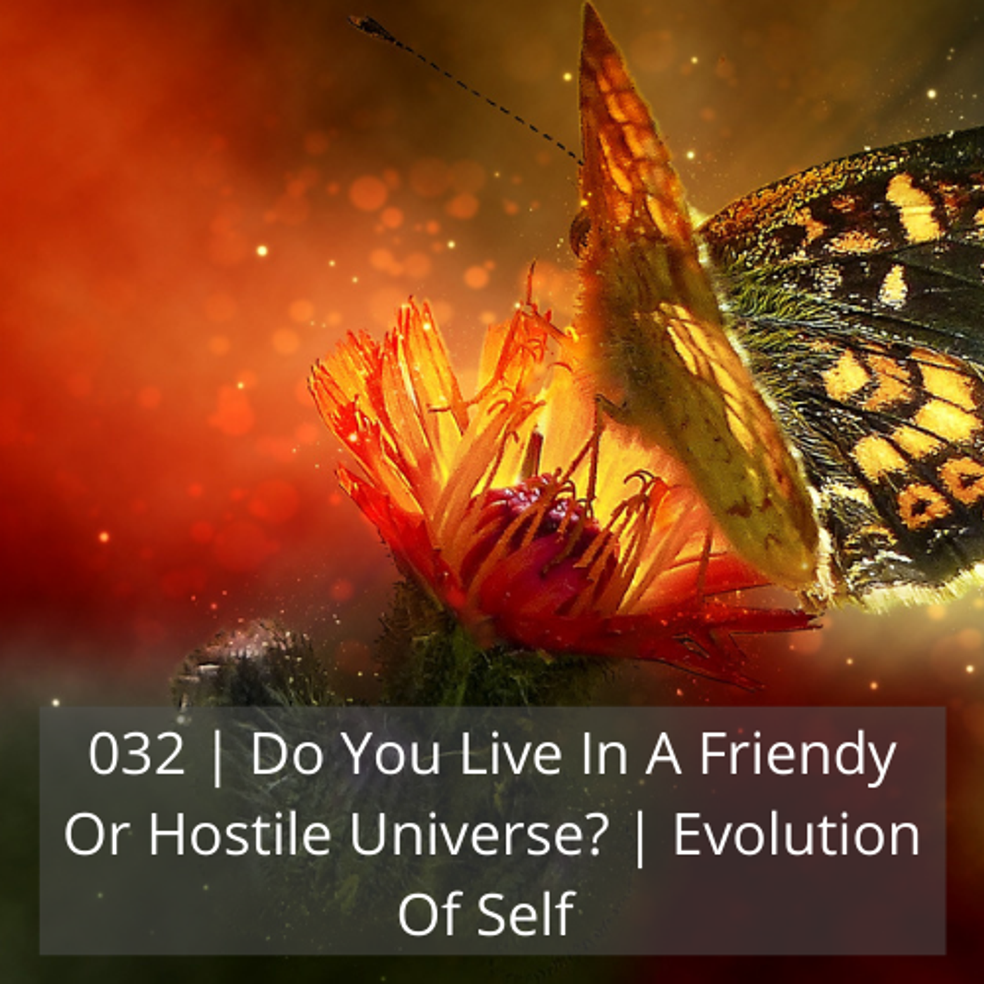 Evolution Of Self