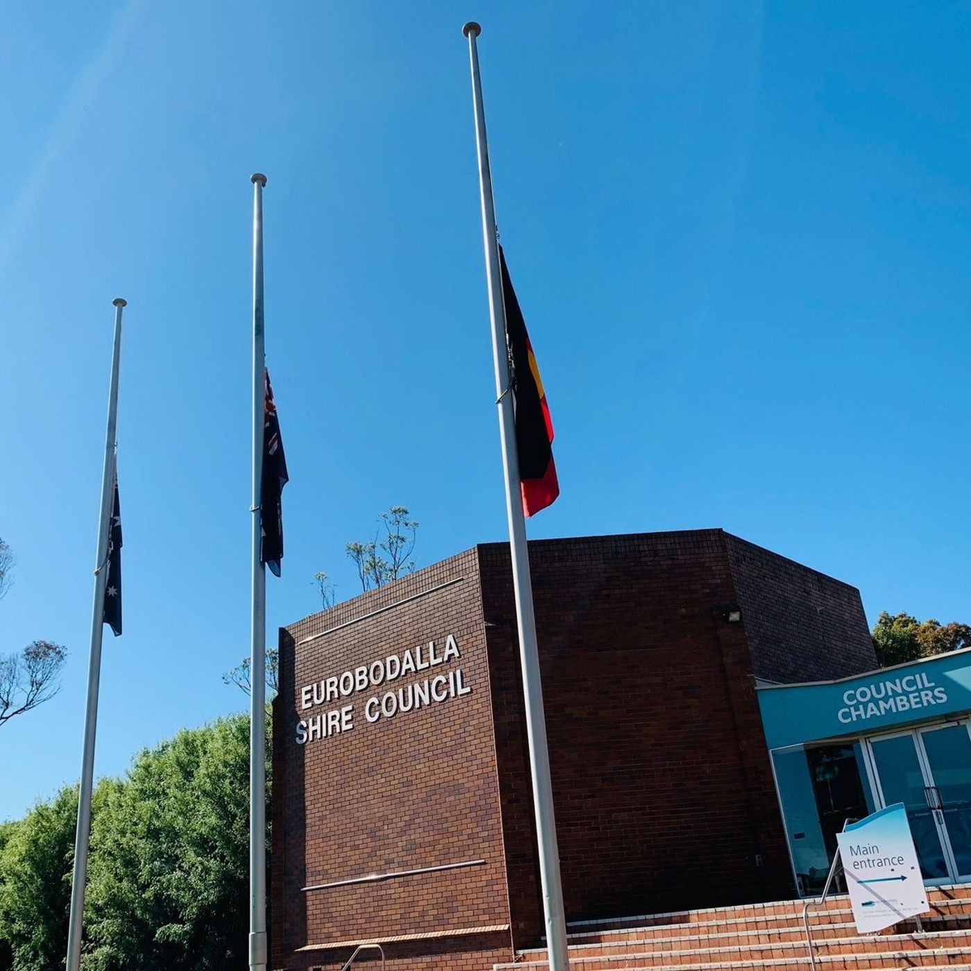 Eurobodalla Shire Mayor Liz Innes on the anniversary of the start of the Currowan fire episode artwork