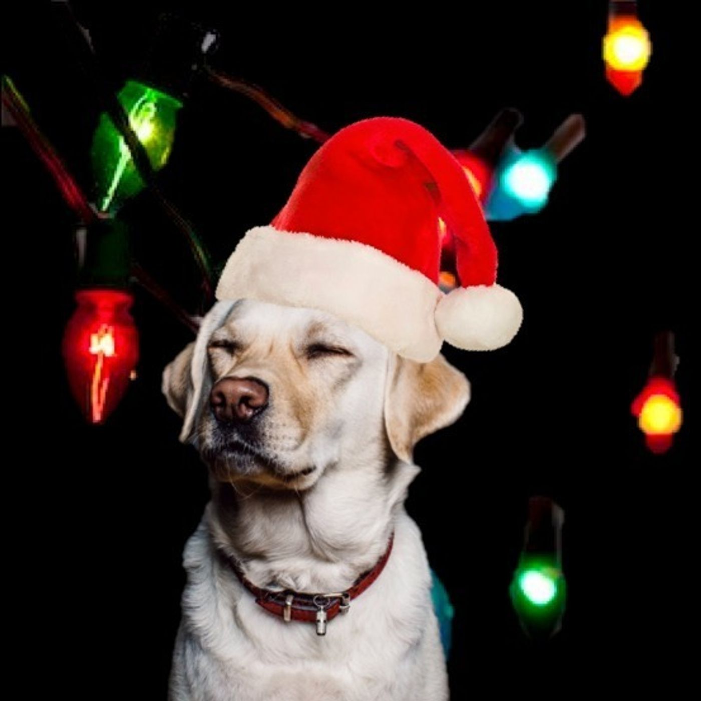 S3 Ep10: Christmas Special - Festive Fixture Focus