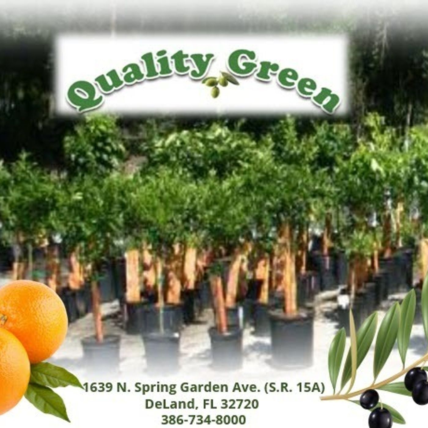 Better Lawns and Gardens - Hour 1 Welcome Quality Green Specialists December 19, 2020