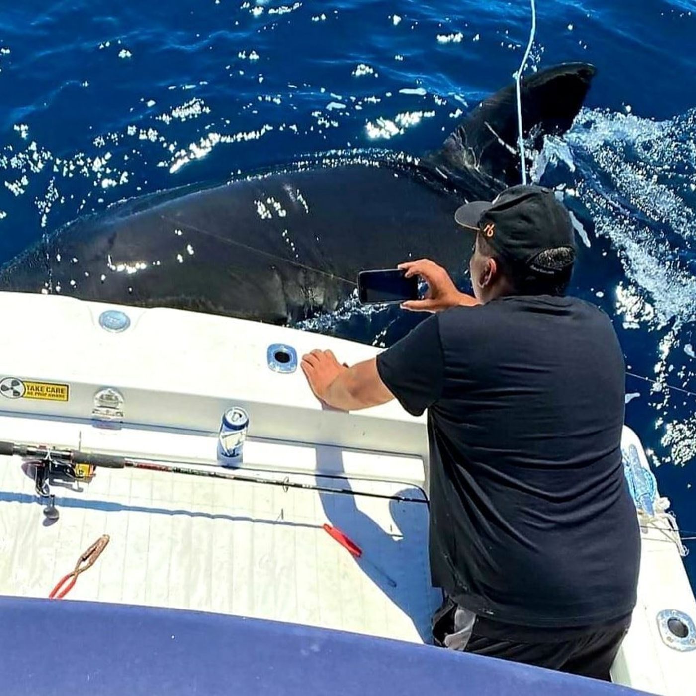 Trapman Bermagui on the 5m Great White Shark spotted by Brendon Suter near the Blue Pool in Bermagui and the latest in fishing news episode artwork