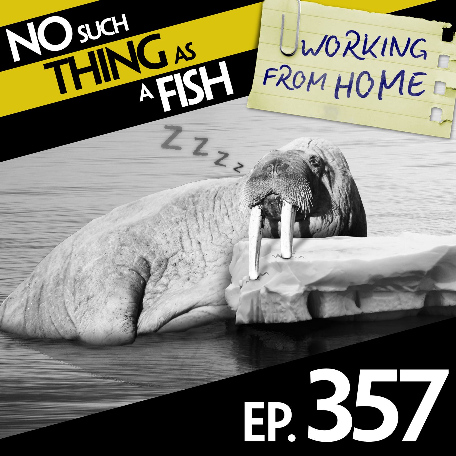 357: No Such Thing As A Rapidly Deflating Walrus