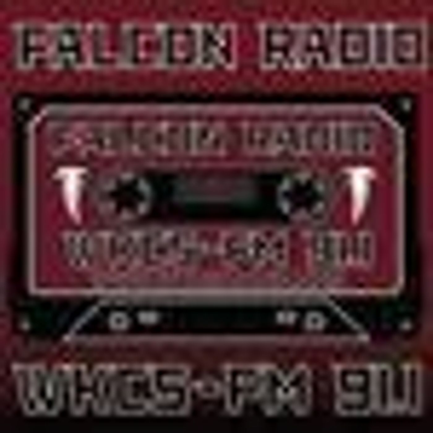 Falcon Nation information Show - January 22, 2021 episode artwork