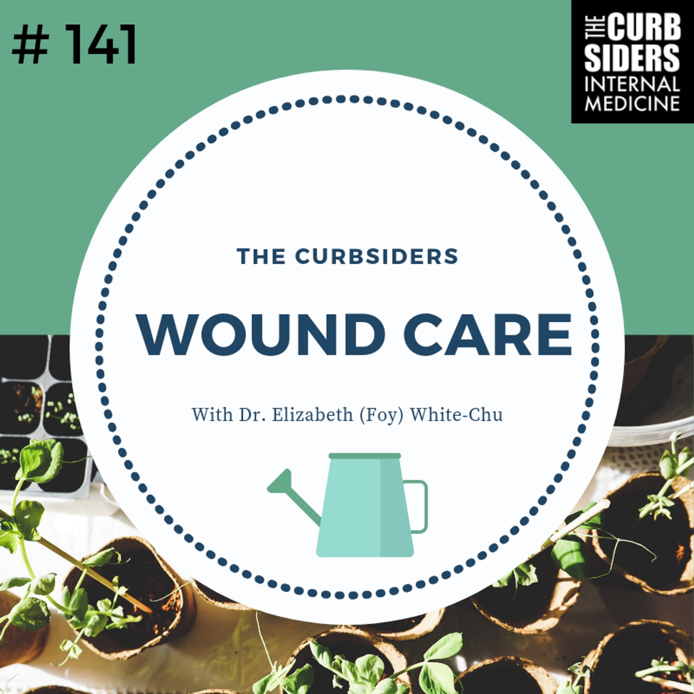 #141 Wound Care Pearls