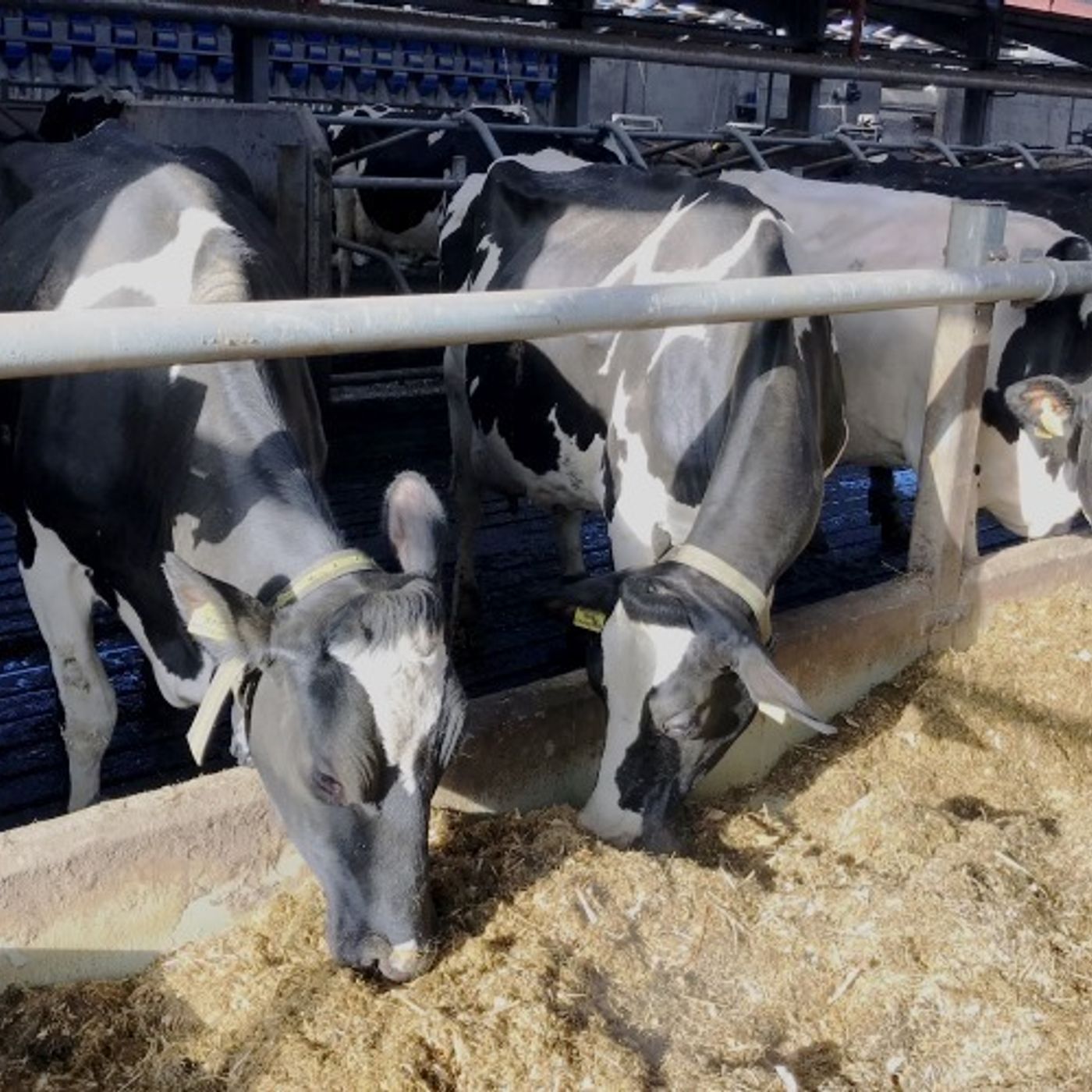 Farming For a Better Climate