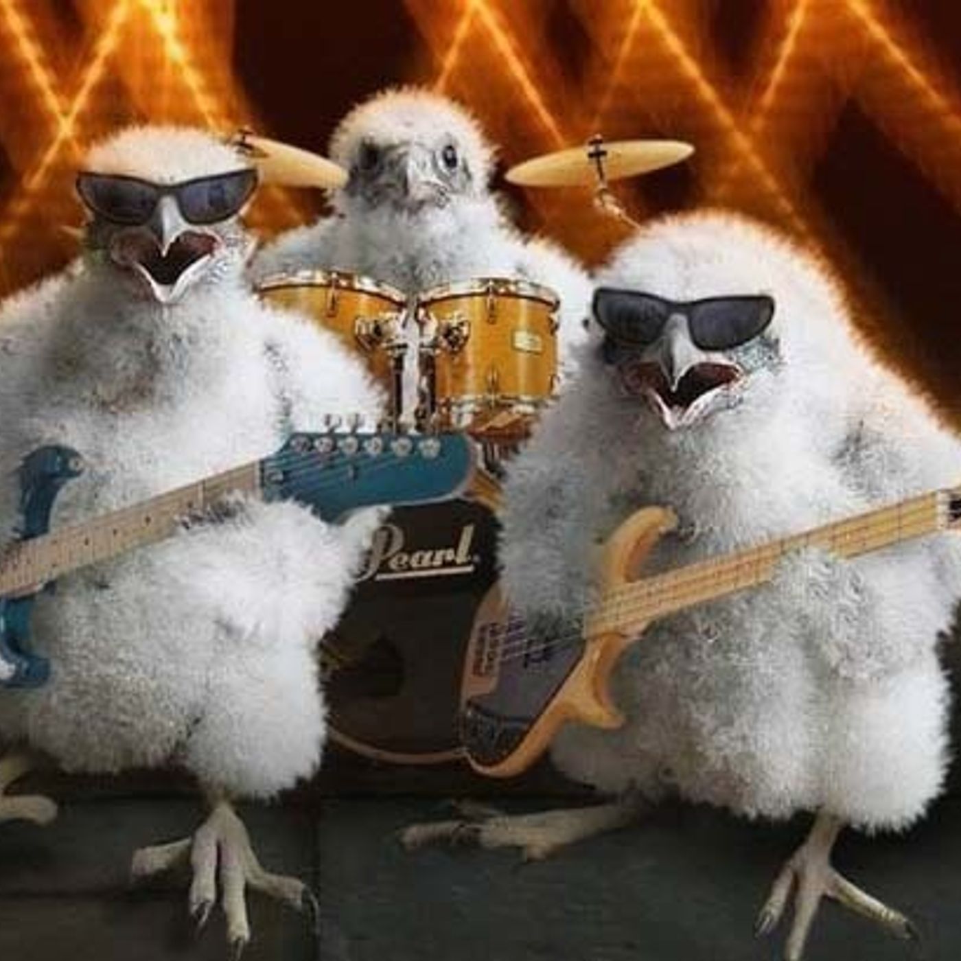 High Speed Chicken Feed episode artwork