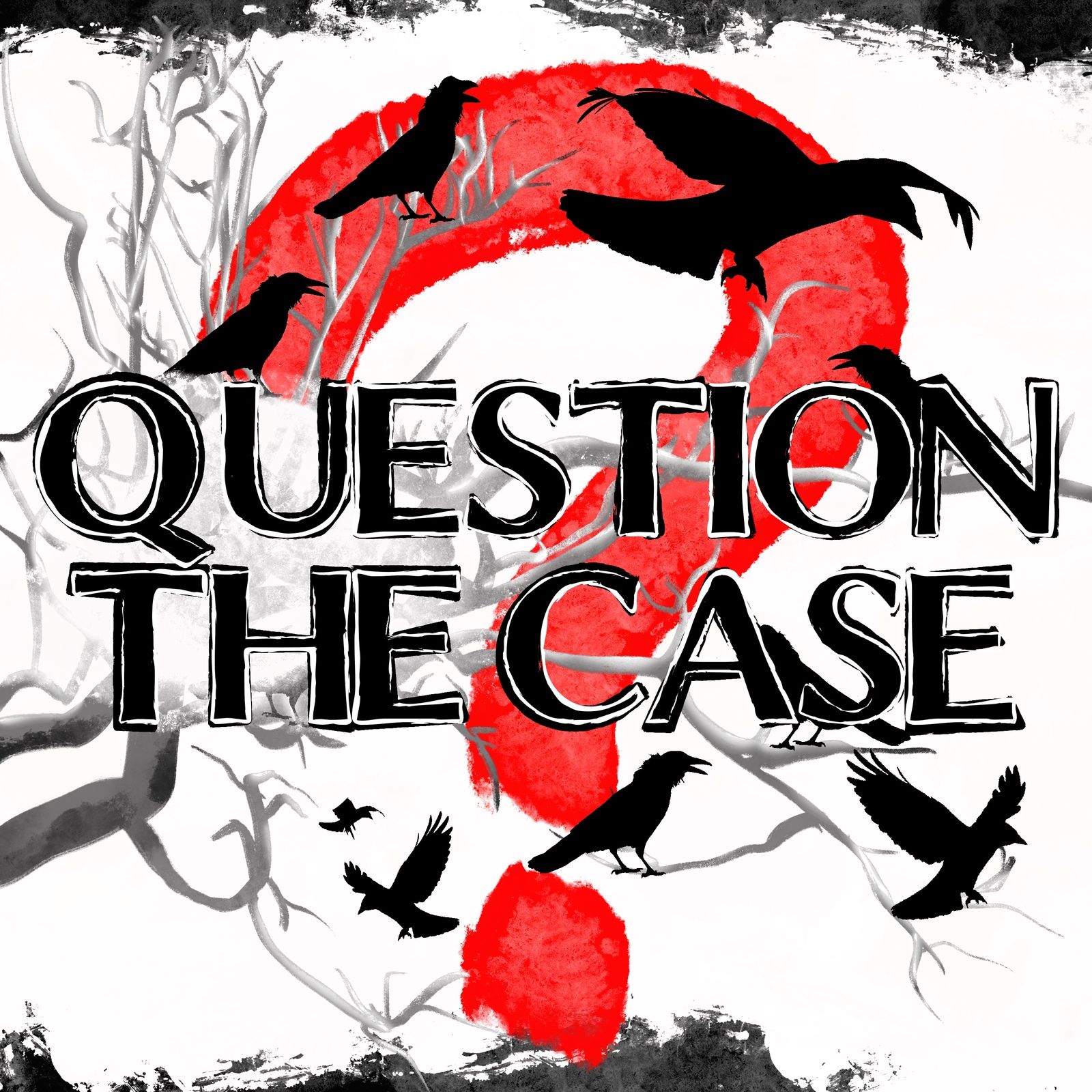 Question The Case cover