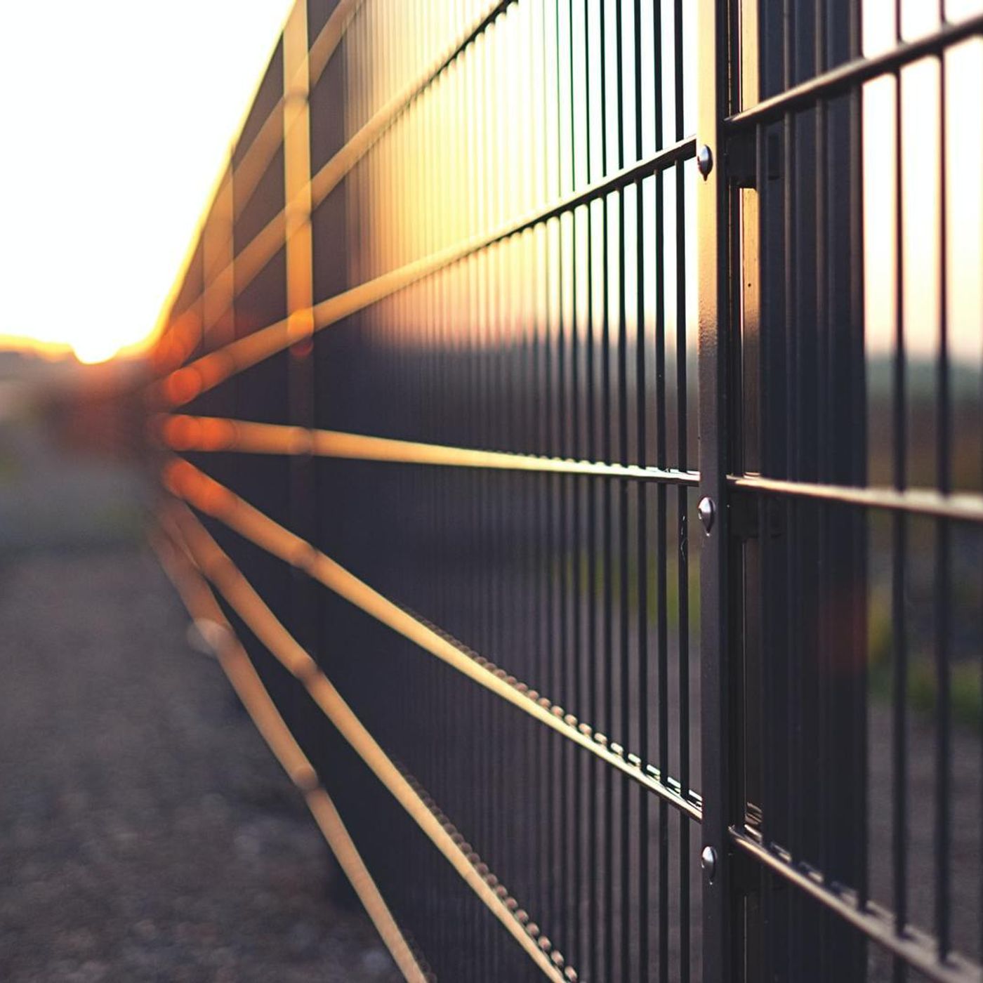 Final Stages For Dog Fence Locked In episode artwork