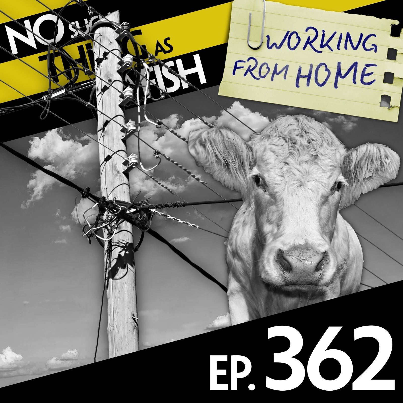362: No Such Thing As Batman and Robinette