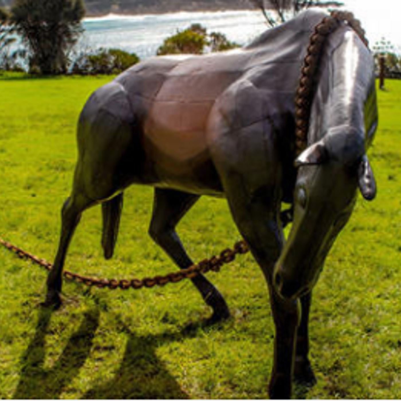 Paul Payten from Sculpture Bermagui on what to expect this year episode artwork