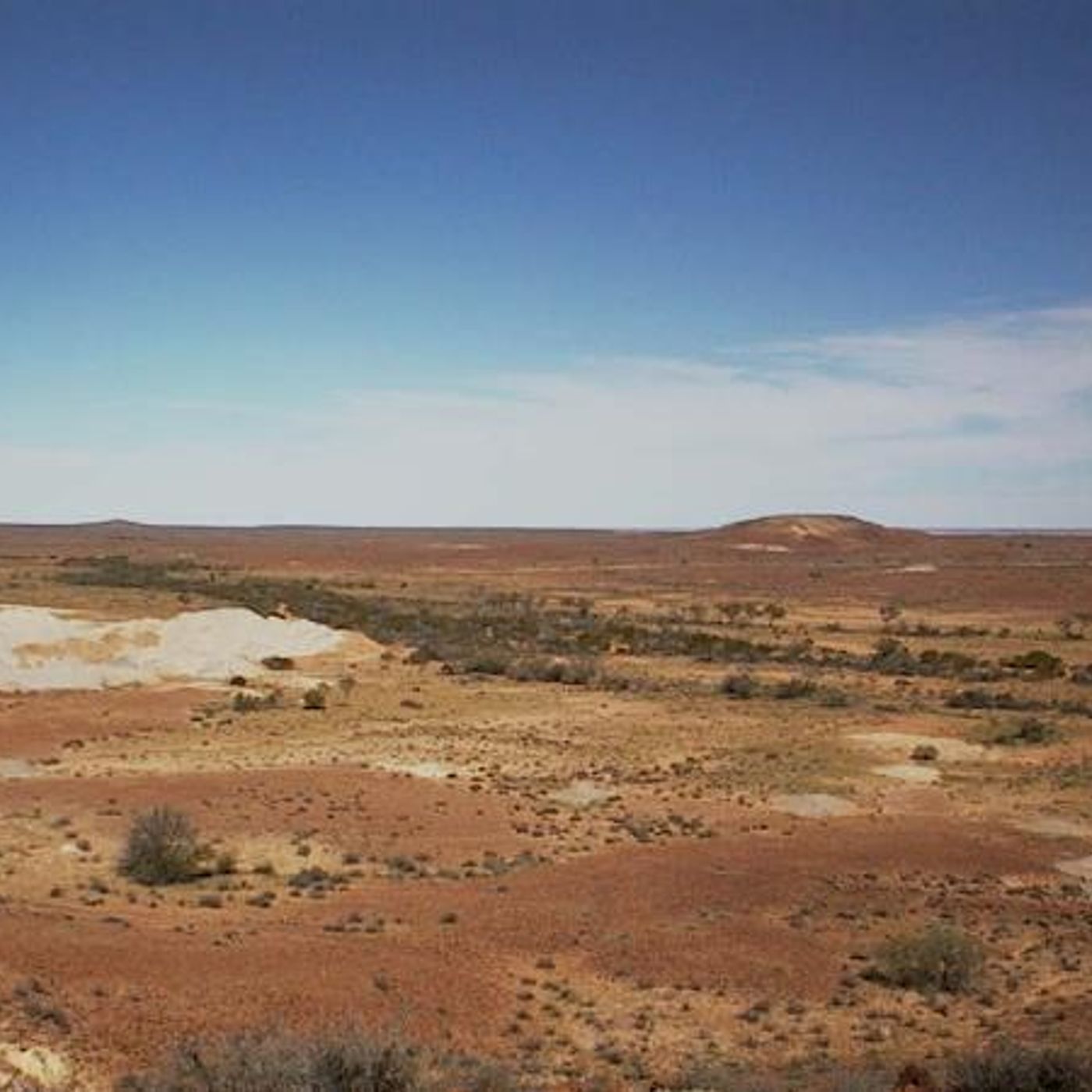 Premier Ignored Advice Against Lake Torrens Drilling episode artwork