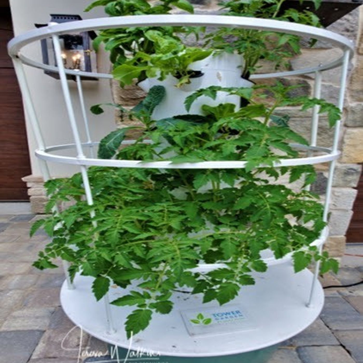 Better Lawns and Gardens - Hour 1 Hydroponics April 10, 2021