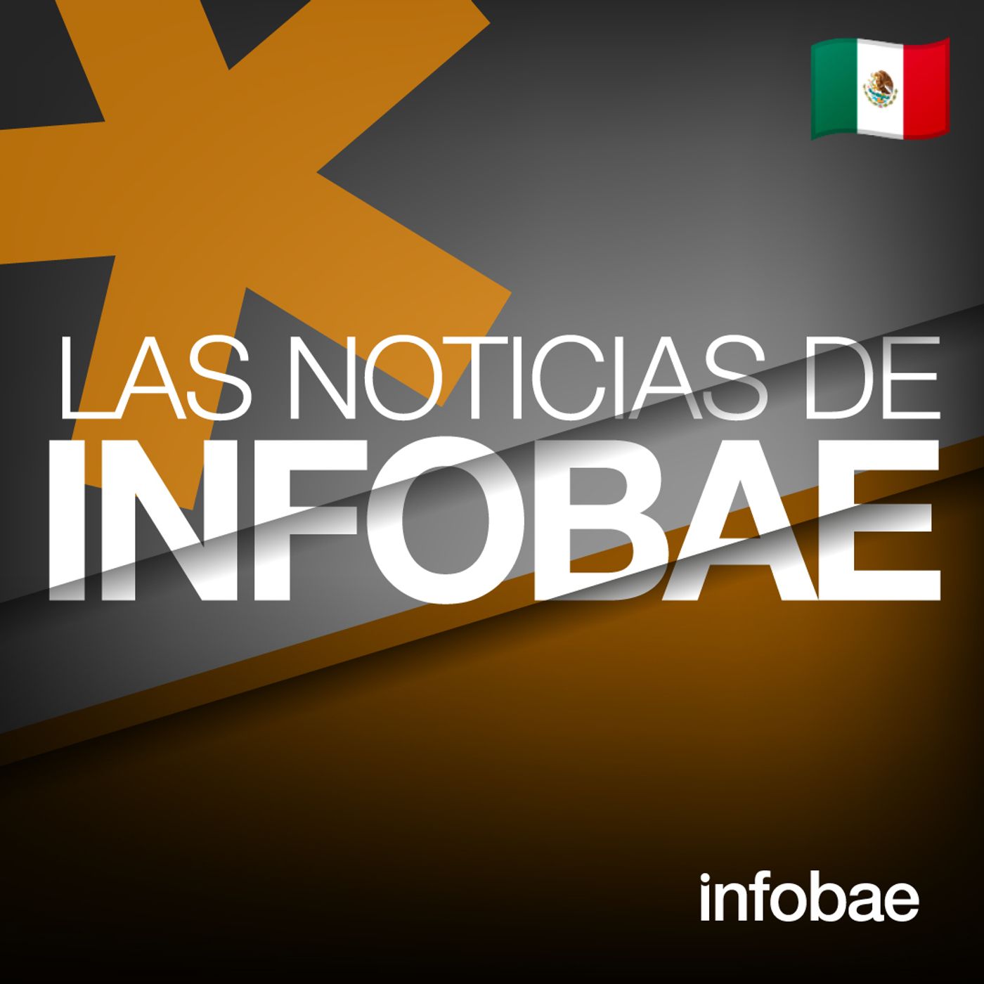 491: Las Noticias del Día (MX)