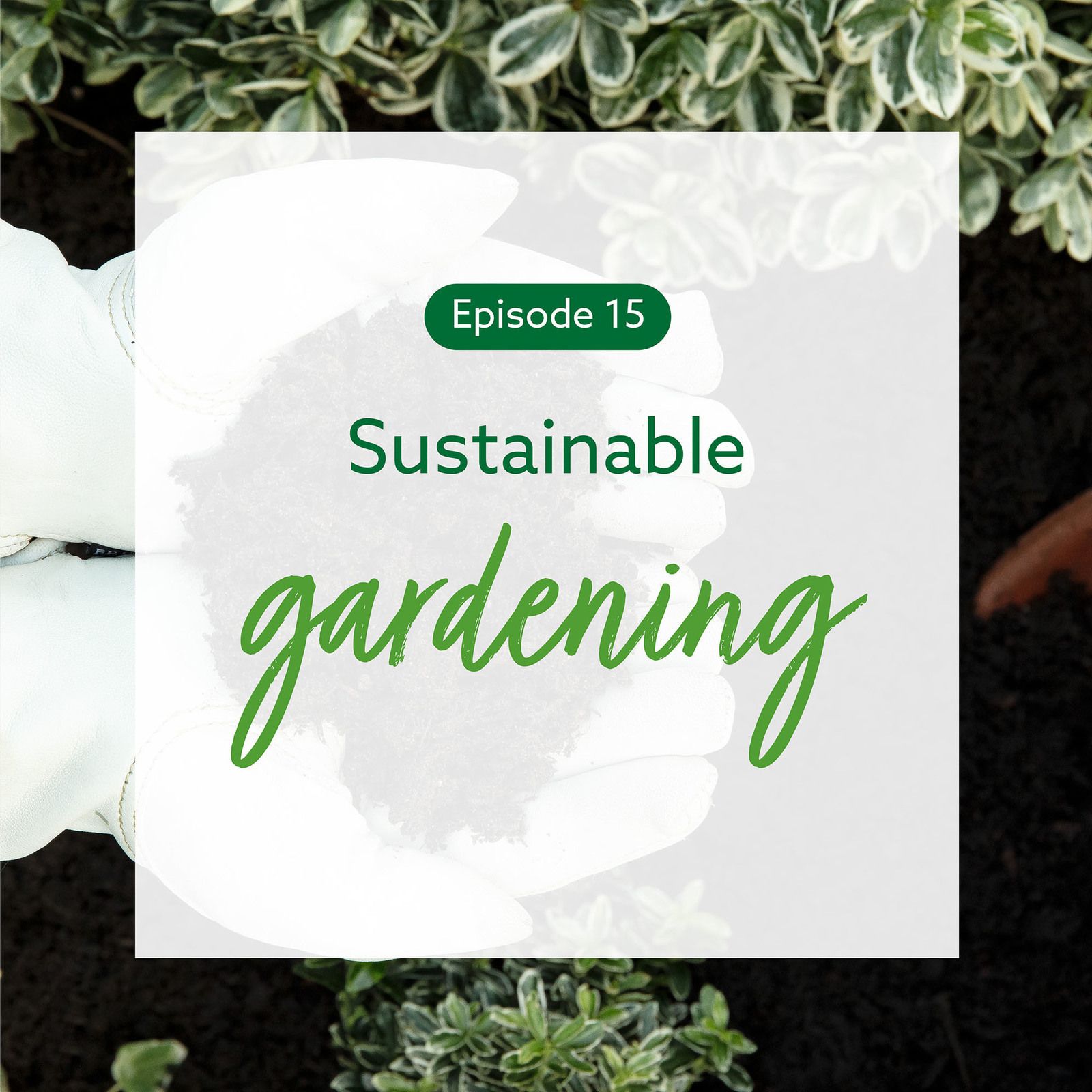 15: Sustainable gardening