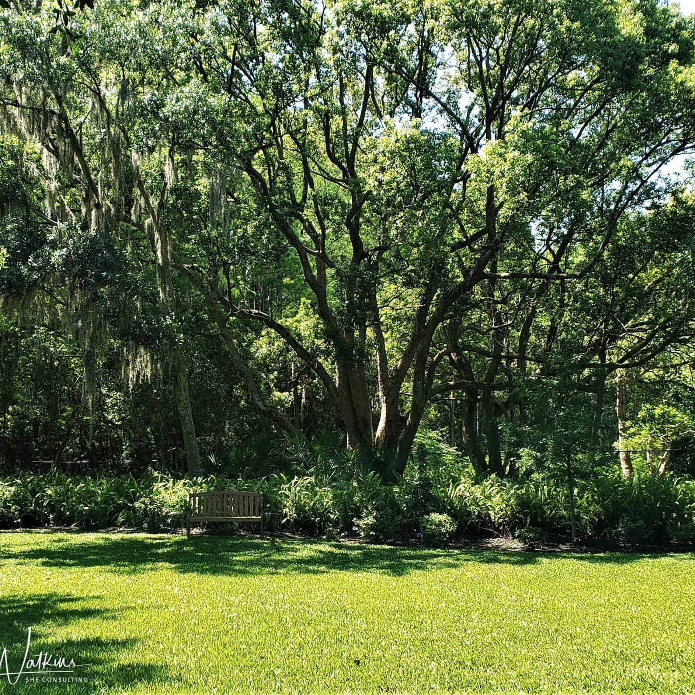 S2 Ep87: Better Lawns and Gardens - Hour 1 Spring Lawn Care April 24, 2021