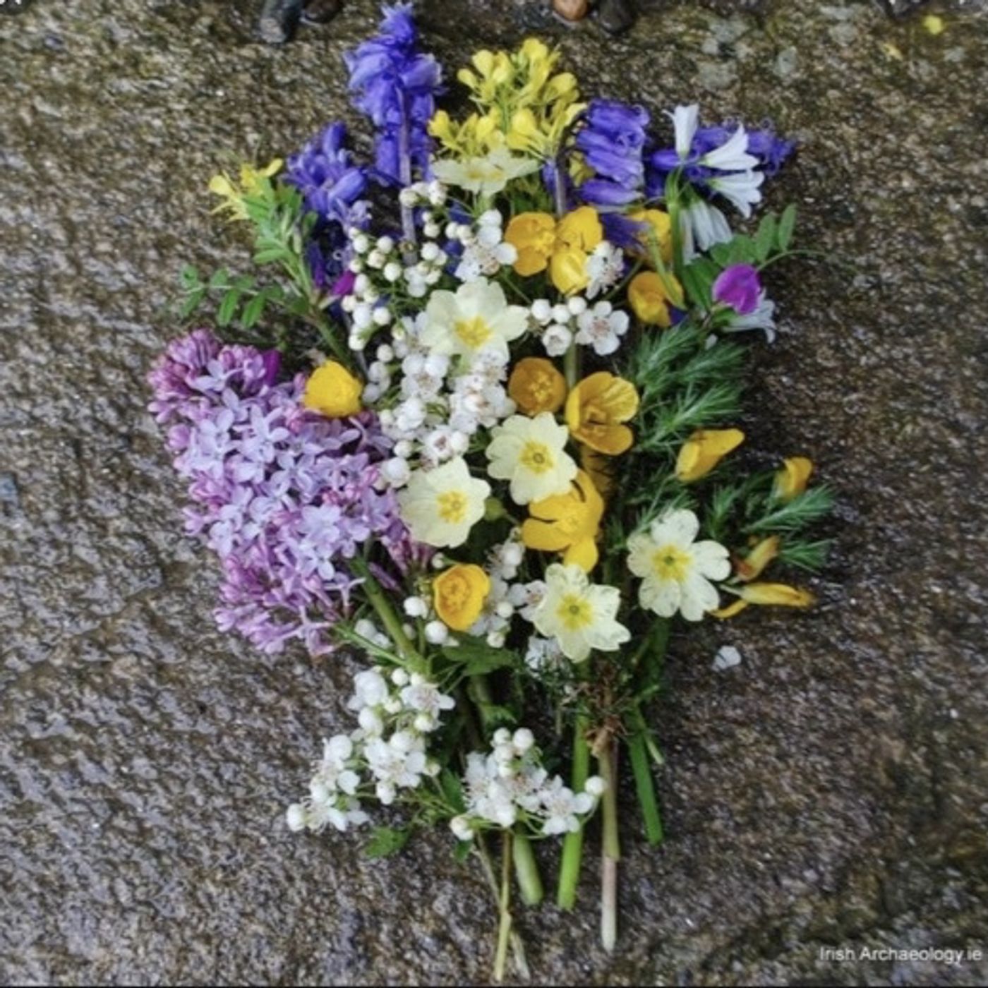 10. BF May flowers and May altar episode artwork