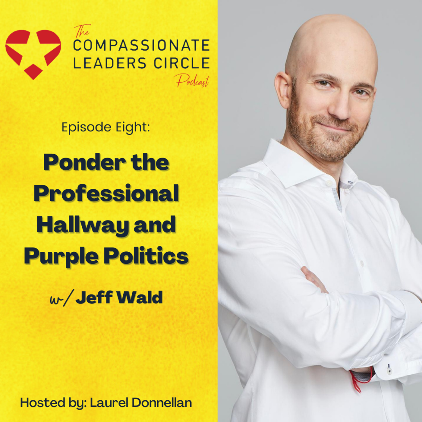 8: Ponder the Professional Hallway and Purple Politics with Jeff Wald episode artwork