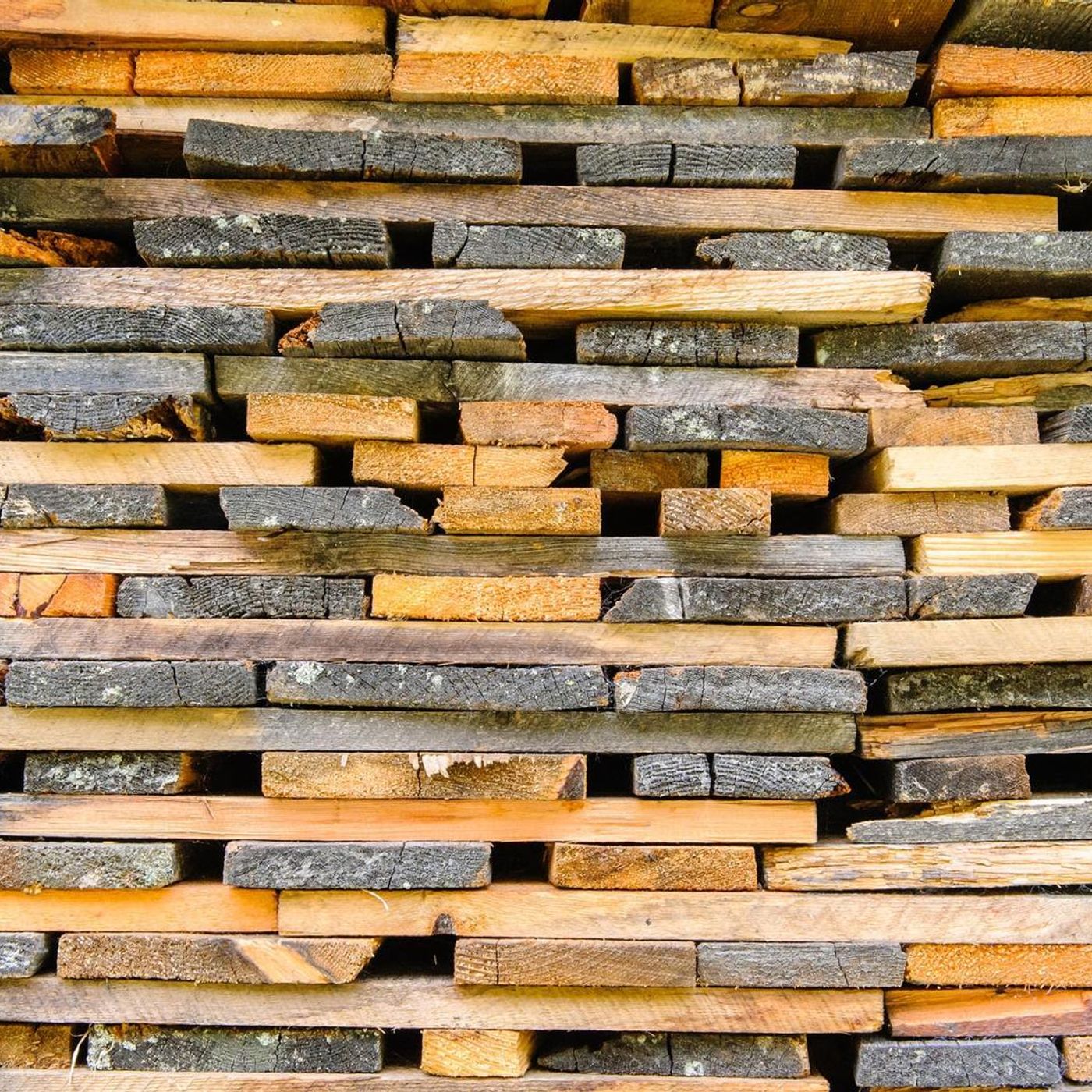 Alternatives For Sawmill Investigated After Losing ForestrySA Contract episode artwork