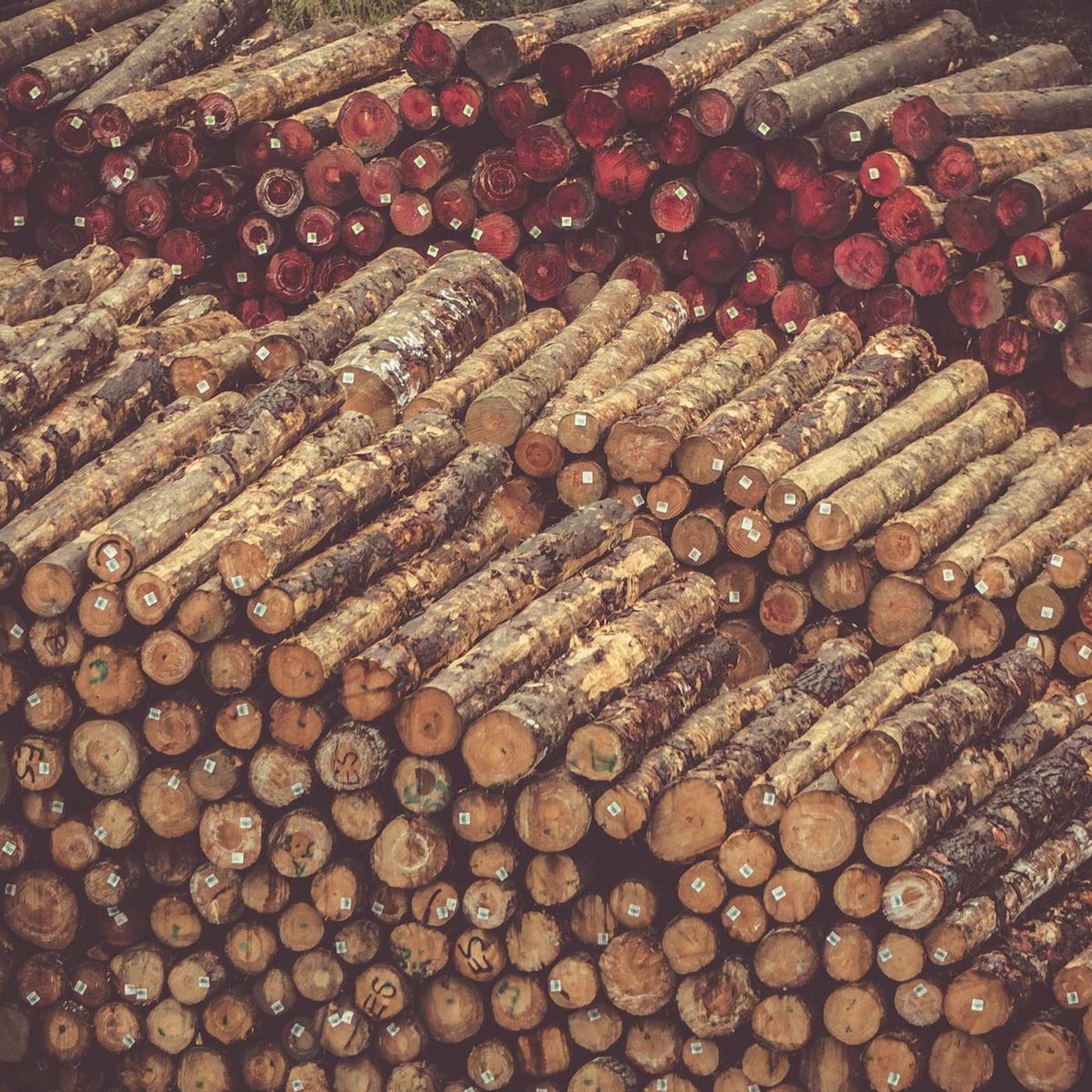Federal Government Asked To Assist Moving Log To Jamestown episode artwork