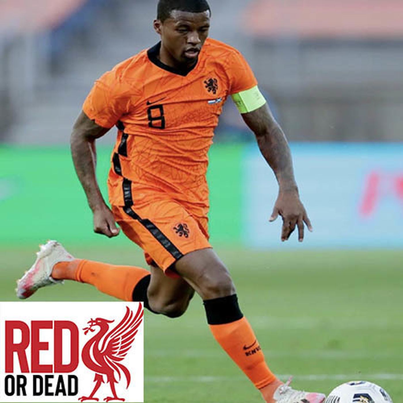 S1 Ep38: The Red Or Dead Podcast - Episode 38