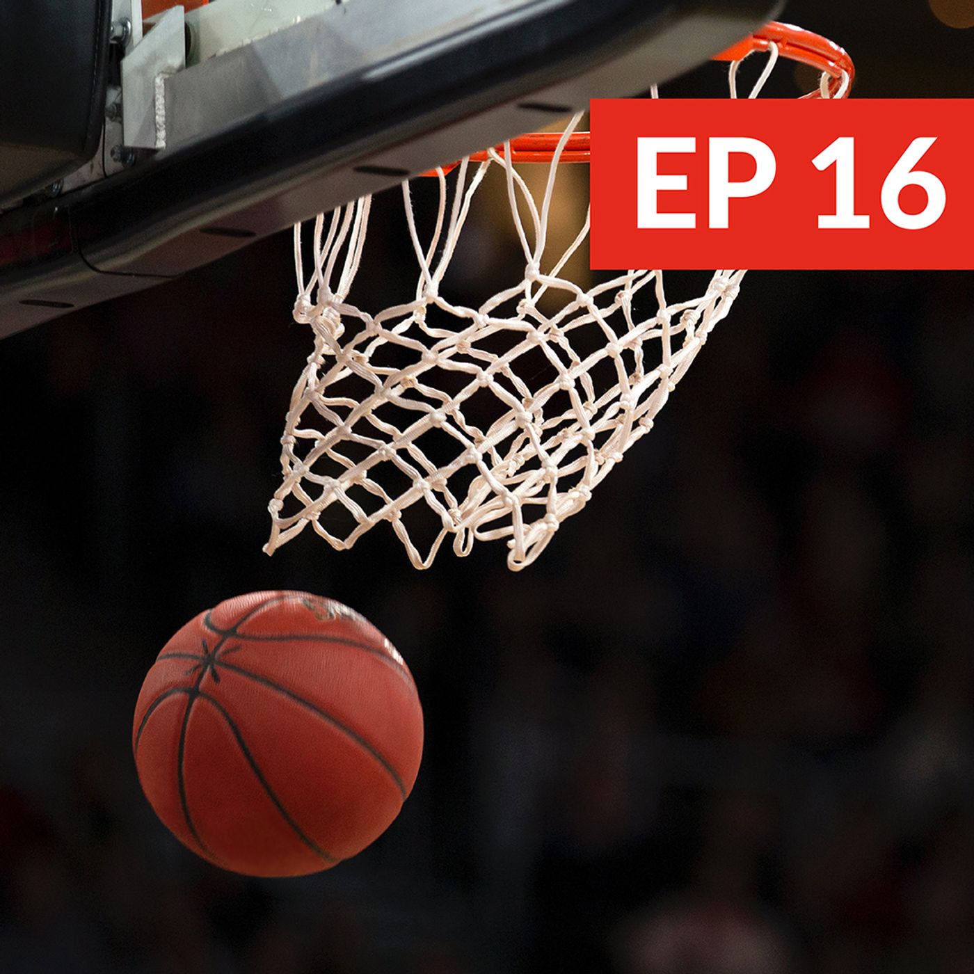 16: Real-time Training Guidance and Better Athlete Relationships - With Jaime Fernandez, University of Arizona Women's Basketball – Ep. 16