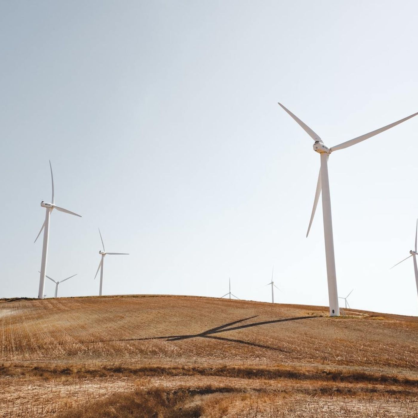 Why Do Renewable Projects Avoid Paying Council Rates? episode artwork