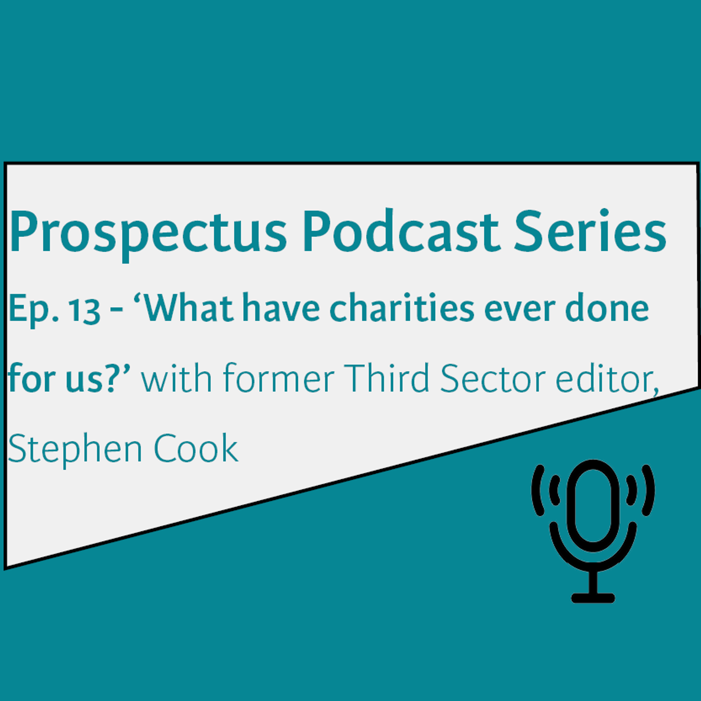 13: Prospectus podcast - Episode 13 - 'What have charities ever done for us?', with Stephen Cook episode artwork