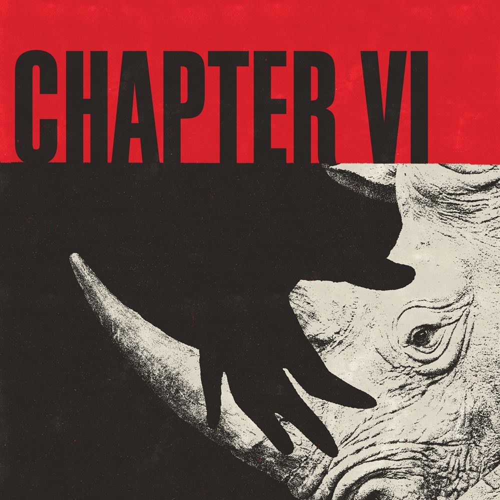 6: CHAPTER VI: Reality Cannot Be Deprived Of The Other Echoes That Inhabit The Garden