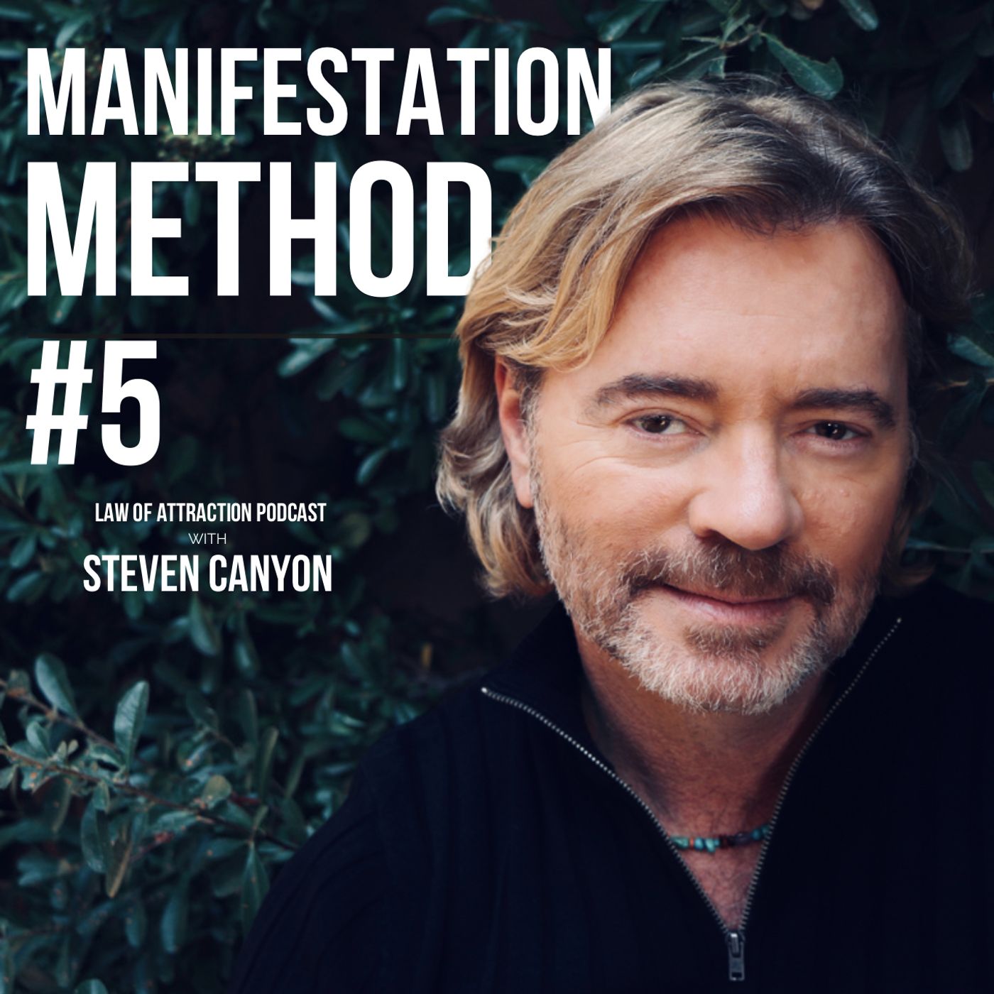 249: Manifestation Method #5