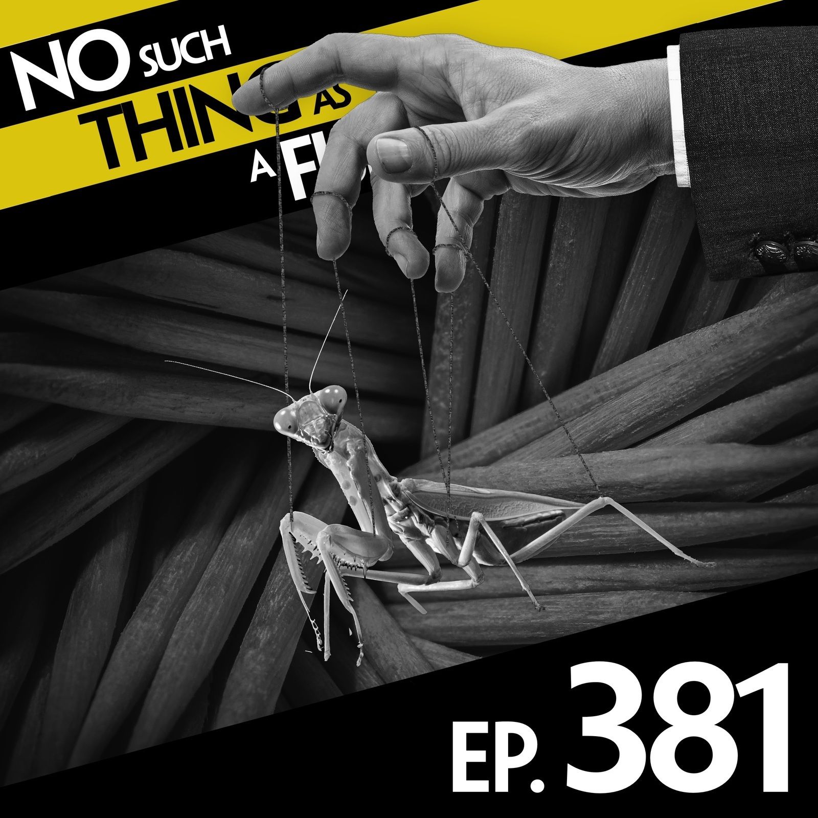 381: No Such Thing As A Safe Toothpick