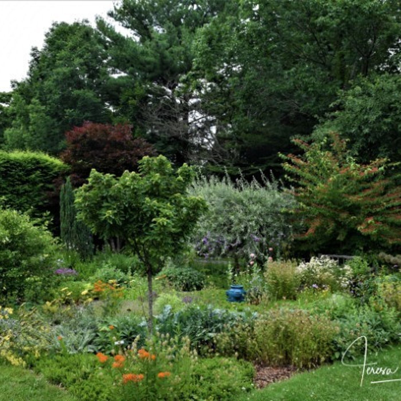 Better Lawns and Gardens Hour 2 - Blithewold Gardens and Favorite Tree Discussion Continues July 17, 2021