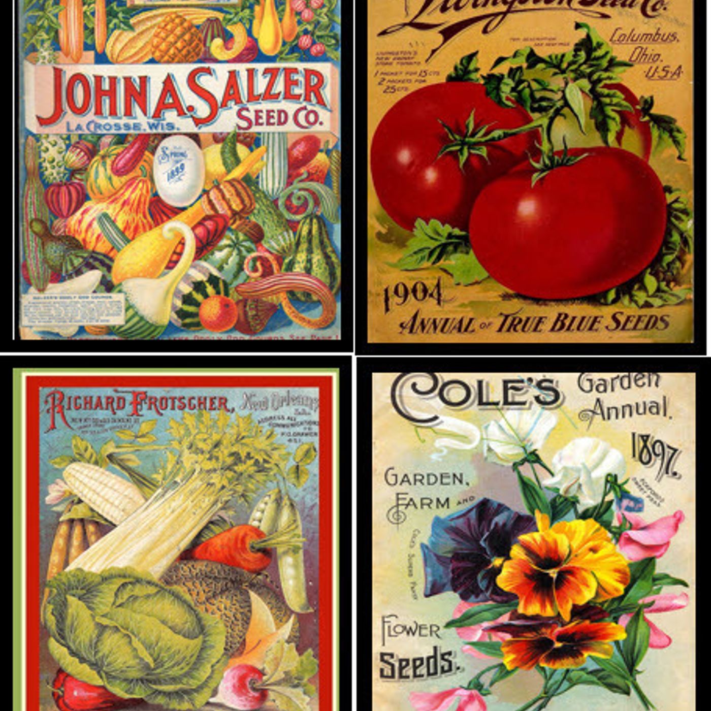 S2 Ep108: Better Lawns and Gardens Hour 1 - Seed Starting July 24, 2021