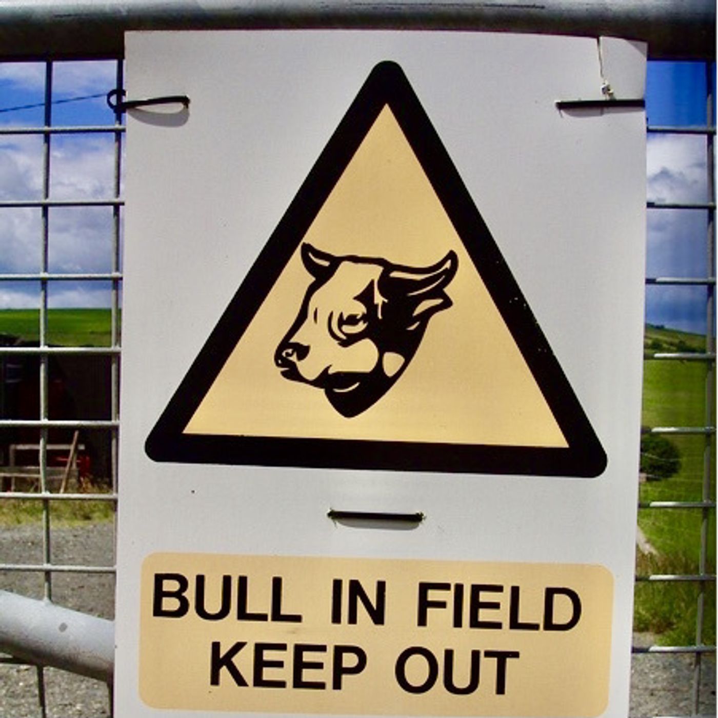 6. BB - it takes a bull episode artwork
