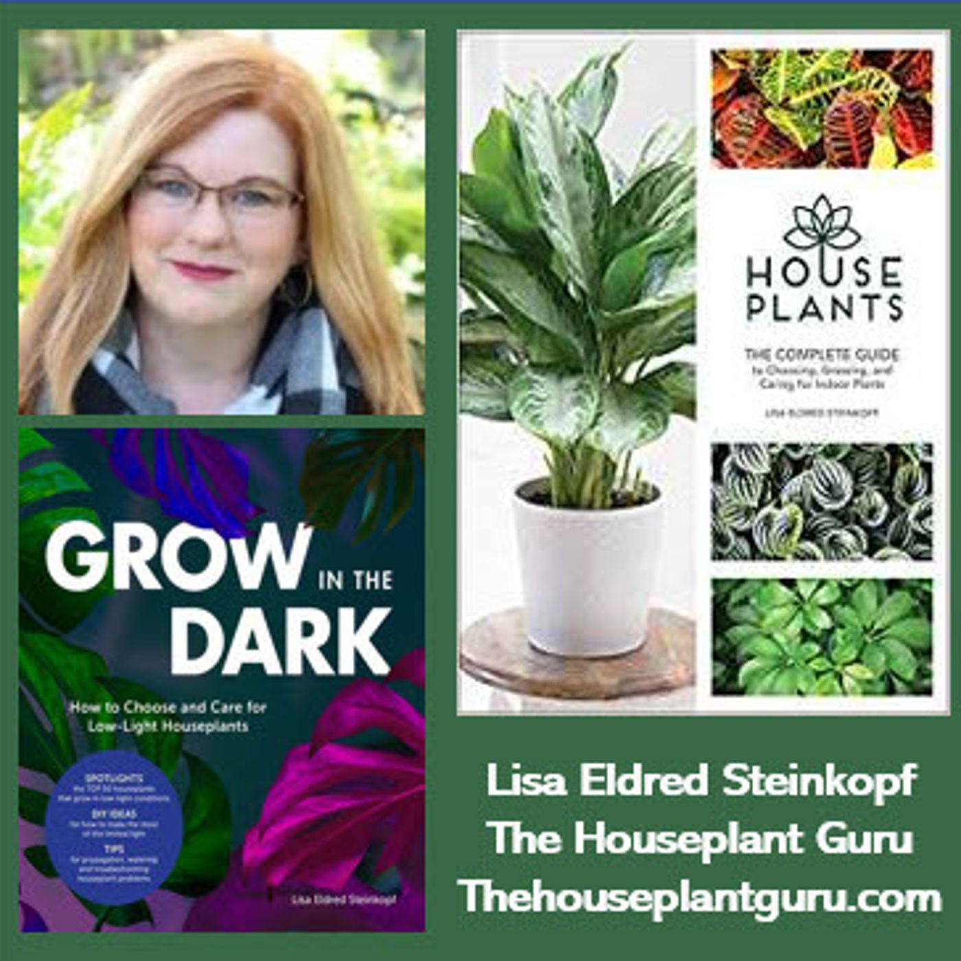 Better Lawns and Gardens - Hour 2 Houseplant Summer Care August 21, 2021