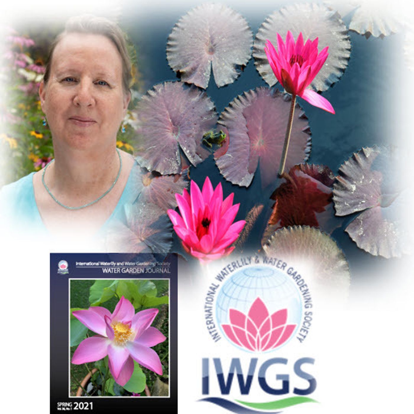 Better Lawns and Gardens - Hour 2 Water Gardening with Kathy Jentz August 28, 2021