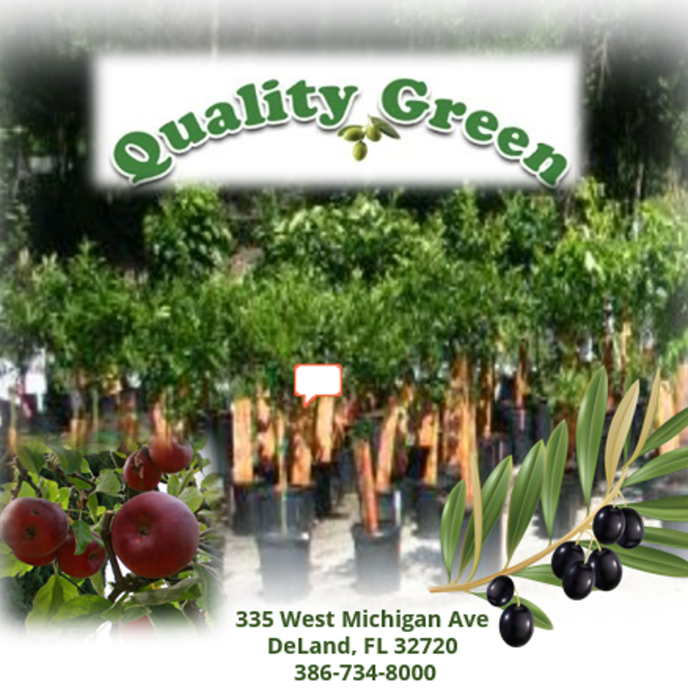 Better Lawns and Gardens - Hour 2 Best Tips on Growing Fruit Trees September 4, 2021