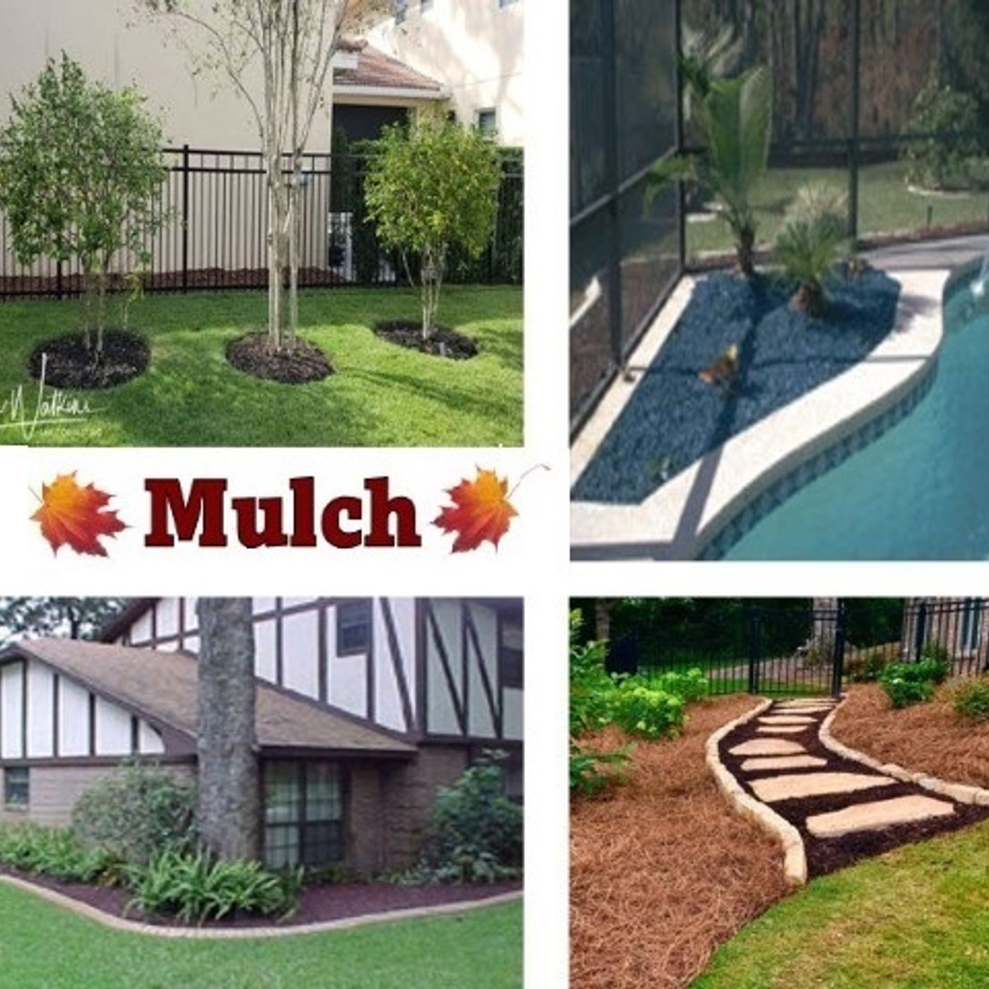 Better Lawns and Gardens - Hour 1 - Fall Mulching September 18, 2021