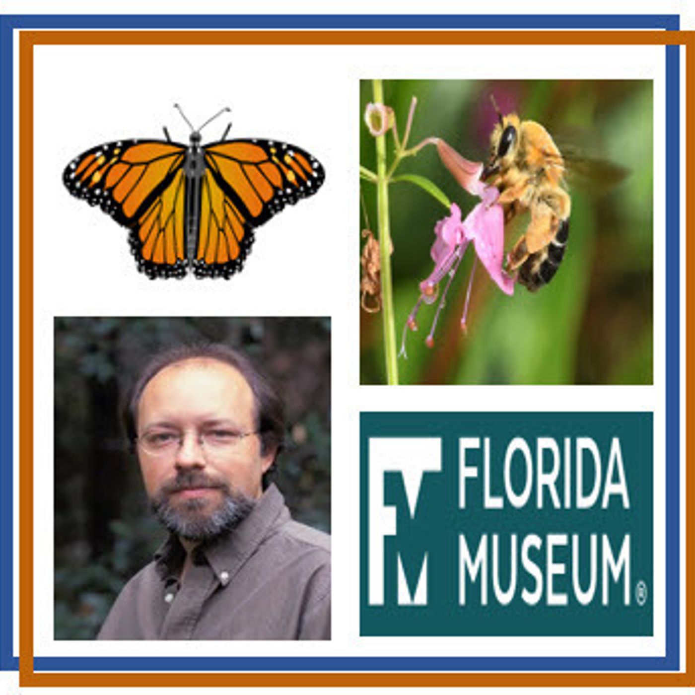 Better Lawns and Gardens - Hour 1 Dr. Jaret Daniels Hairy Bee Research September 25, 2021
