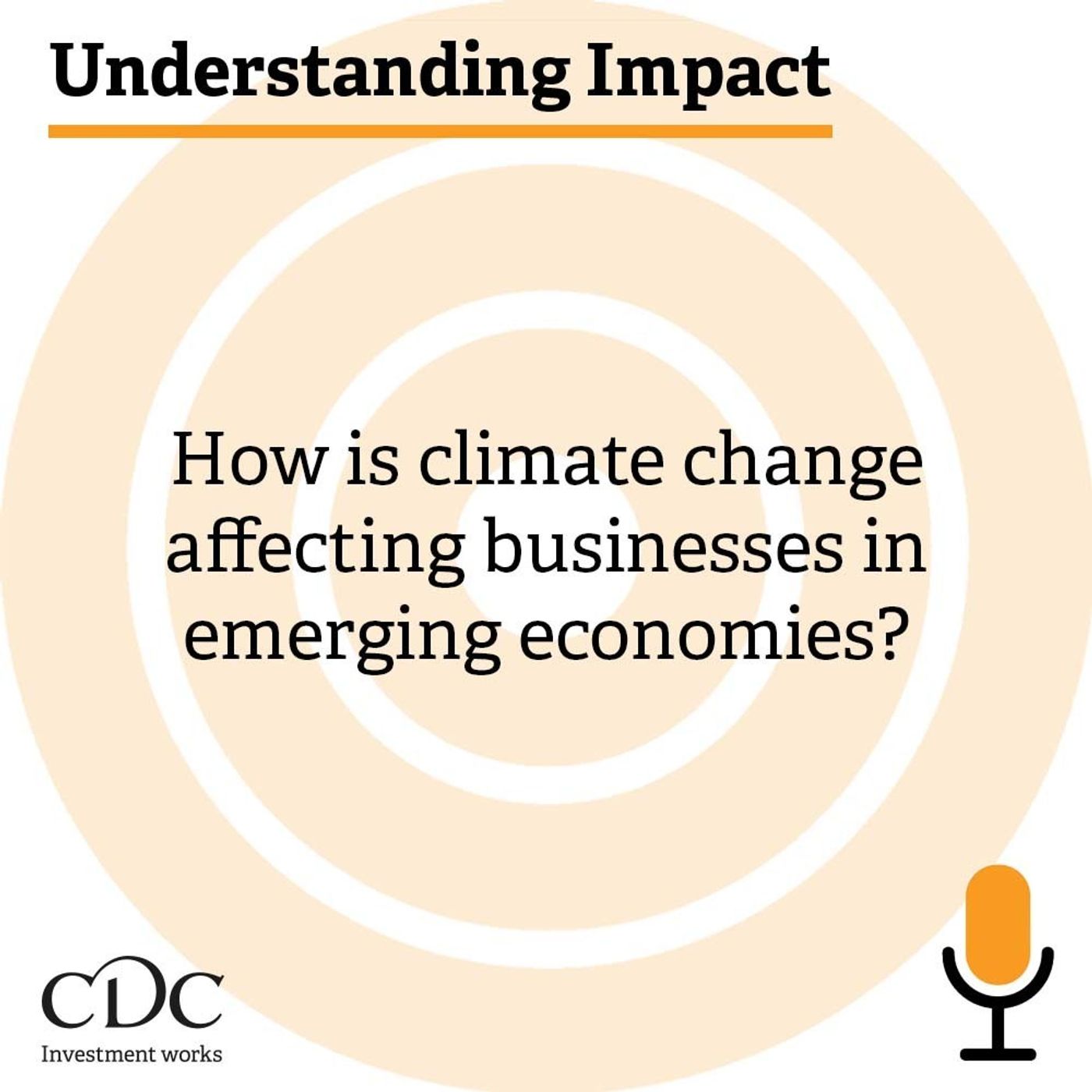 Understanding Impact: How is climate change affecting businesses in emerging economies?