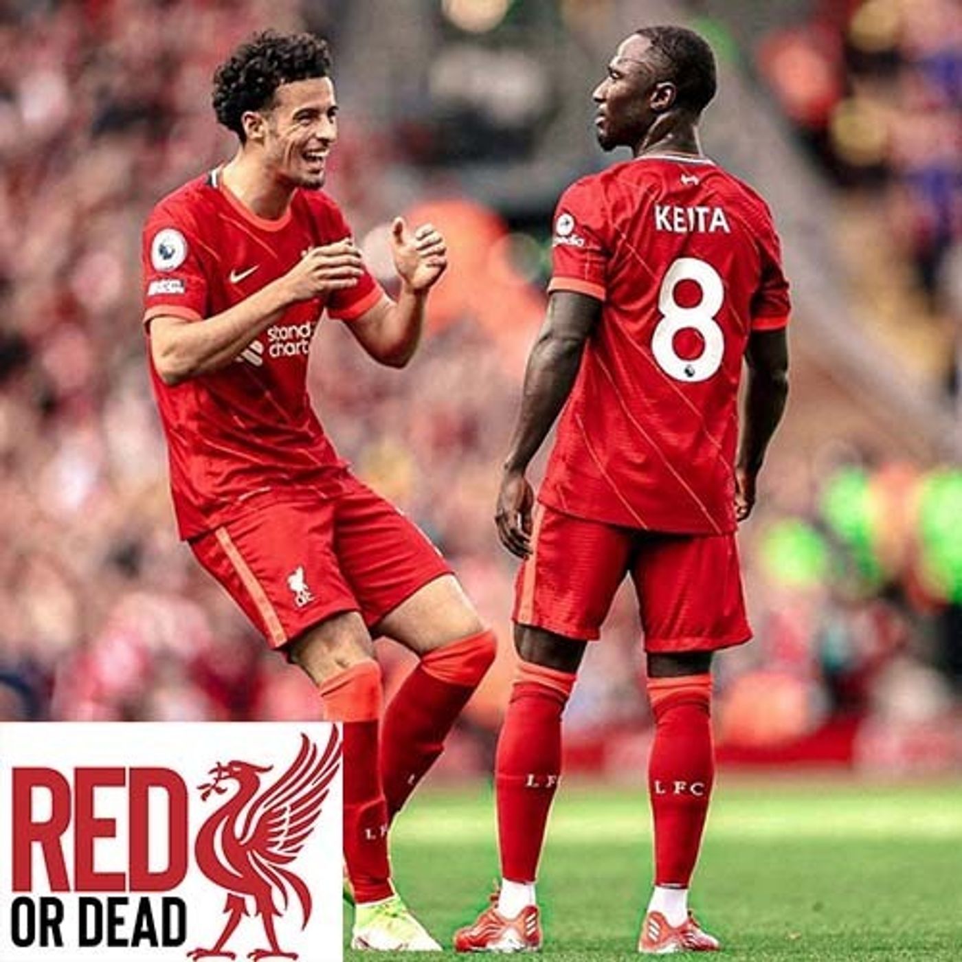 S1 Ep48: The Red Or Dead Podcast - Episode 48