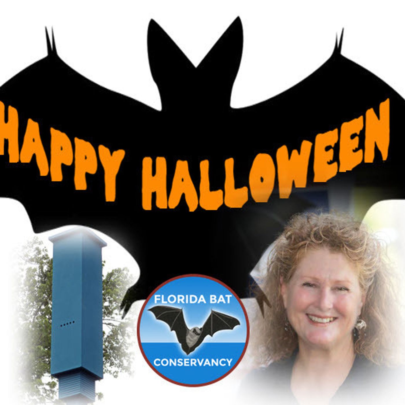 Better Lawns and Gardens Hour 1 - Shari Clark Bats Belfry October 30, 2021