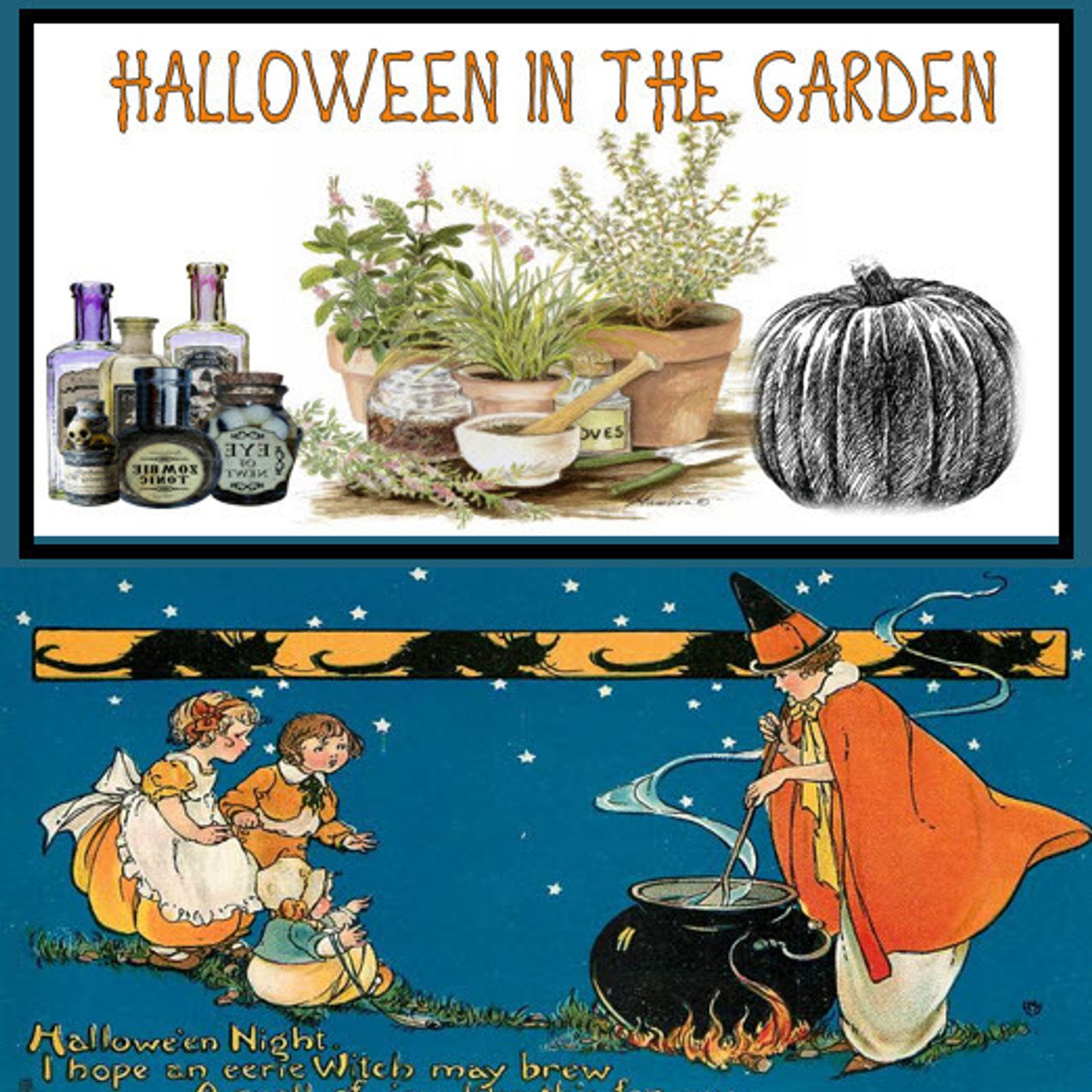Better Lawns and Gardens Hour 2 - Halloween in the Garden October 30, 2021