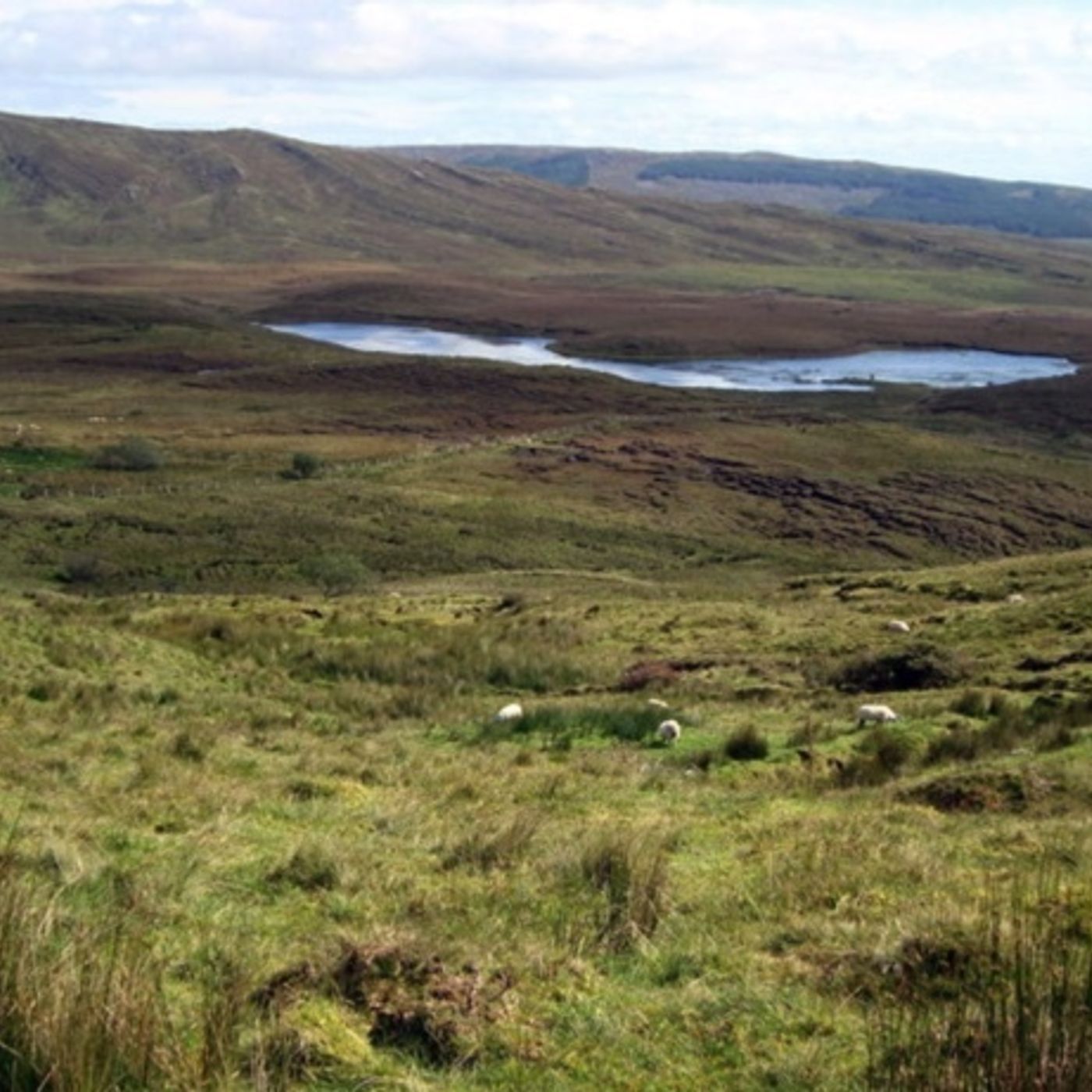 BSW2  15. Meenaguse Lough episode artwork