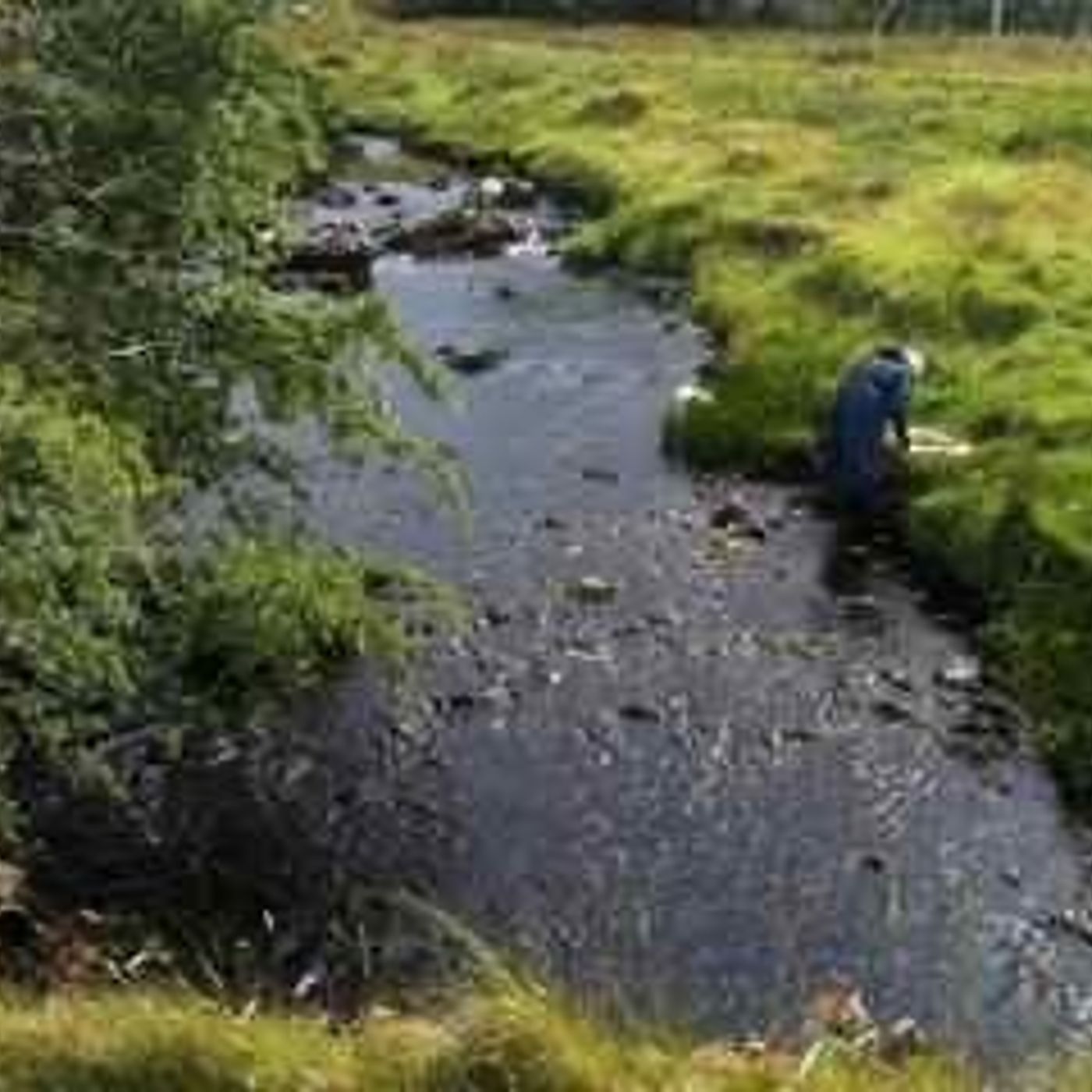 BSW3    15. Along the Owenroe river/Mass Rock episode artwork