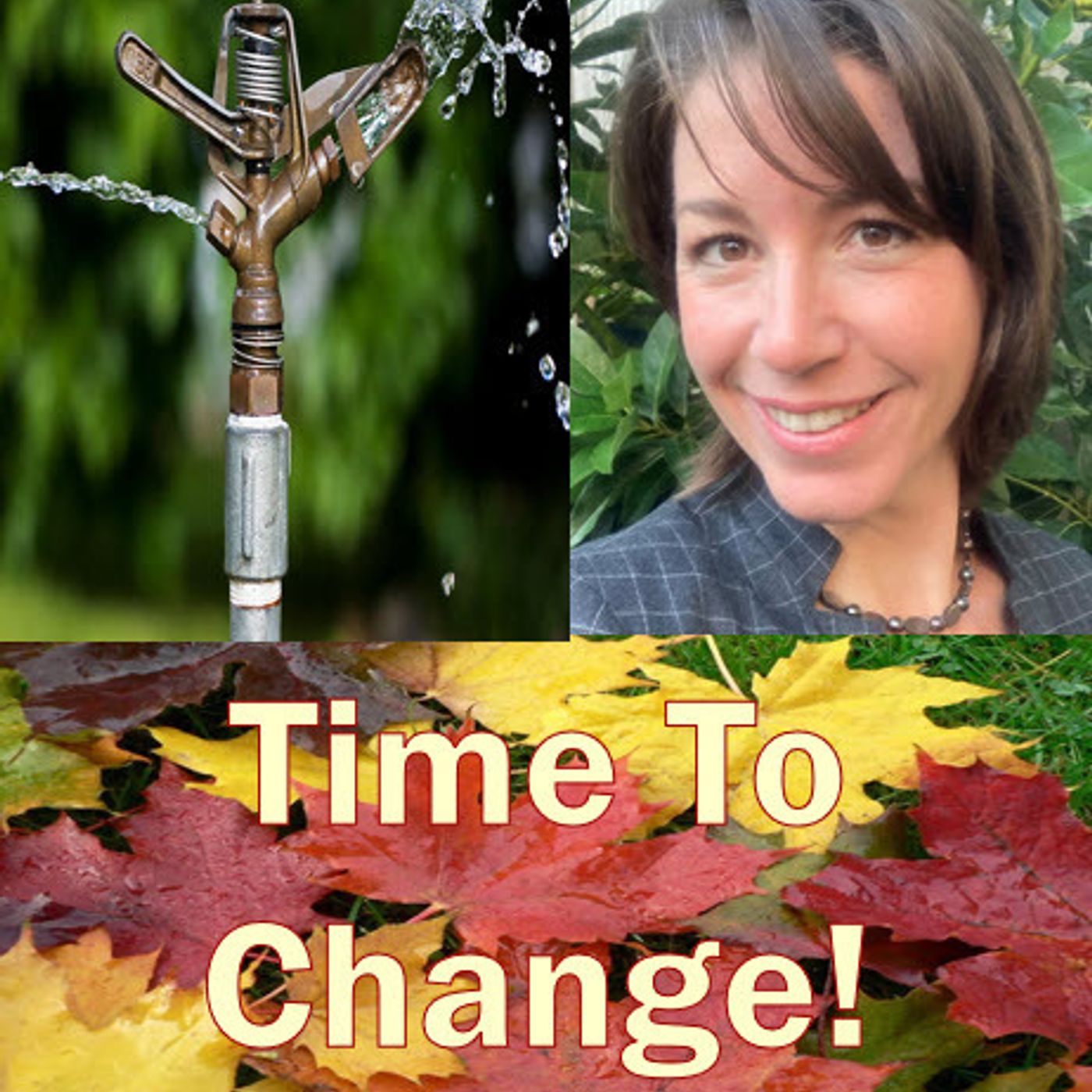 Better Lawns and Gardens - Hour 1 Time To Change Irrigation Tina McIntyre November 6, 2021