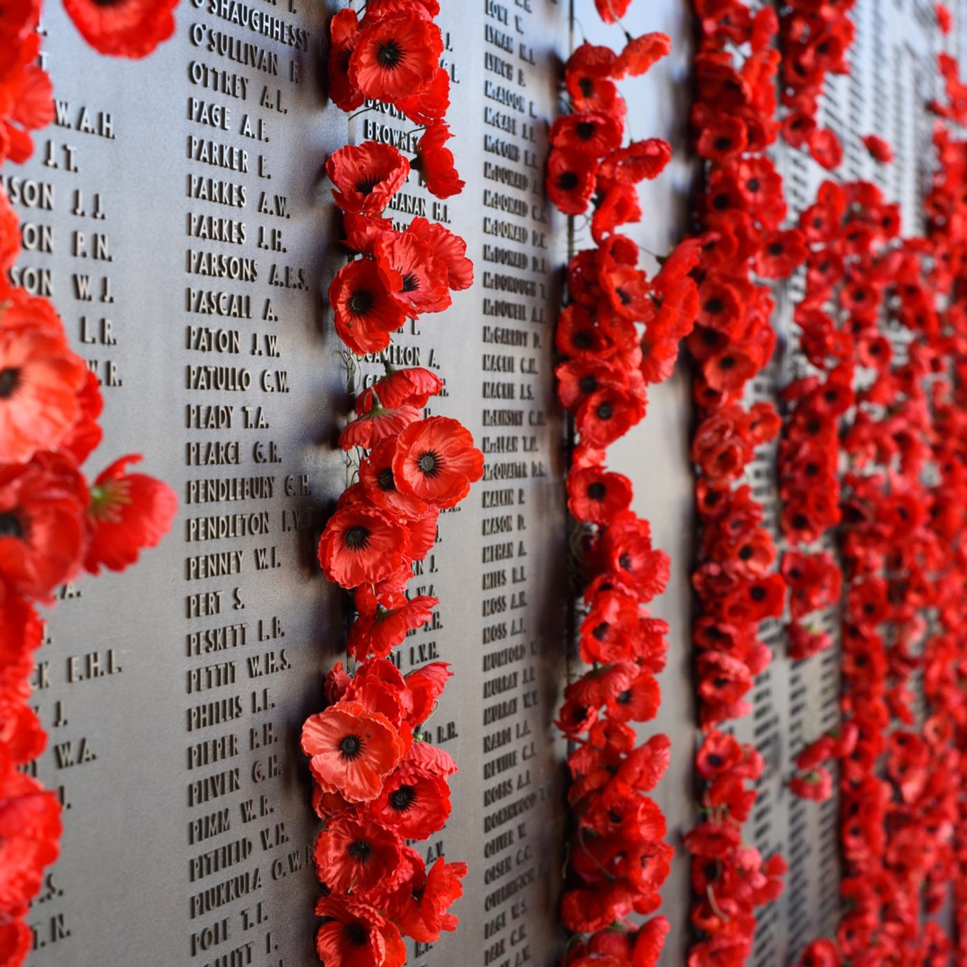 434: Remembrance Day episode artwork