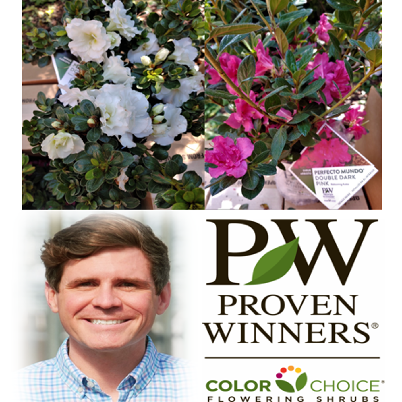 Better Lawns and Gardens - Hour 2 Perfecto Mundo Azaleas November 13, 2021