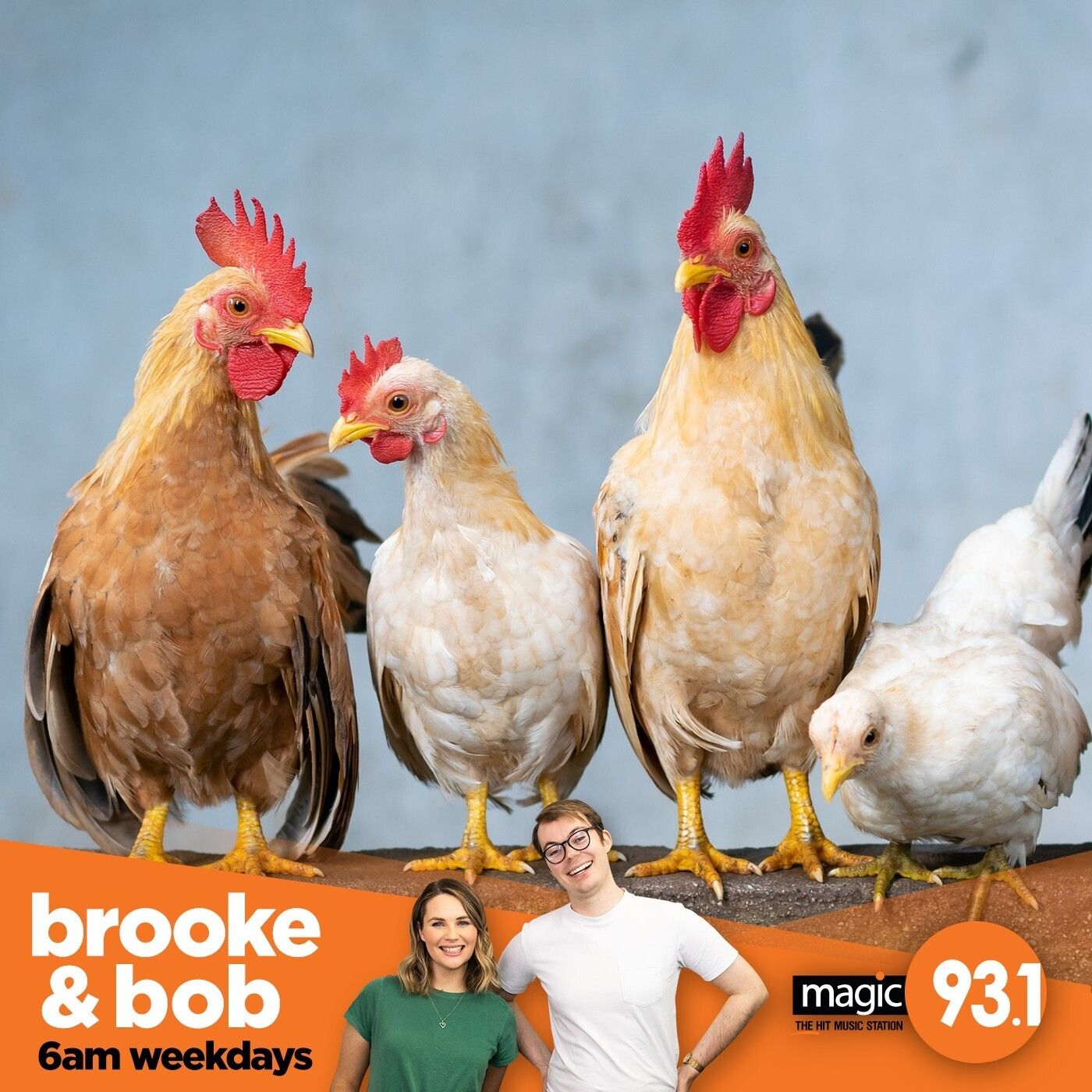 733: Chicken Chat gets REAL episode artwork