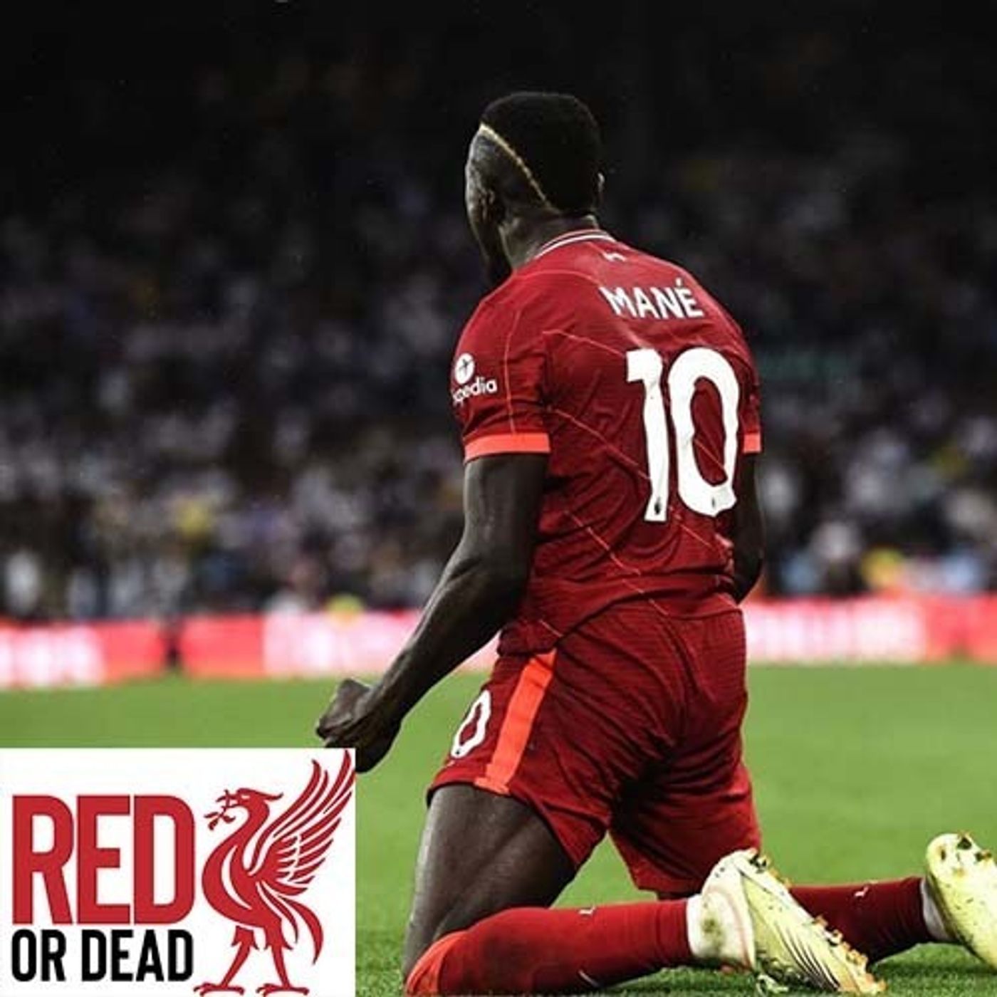 S1 Ep52: The Red Or Dead Podcast - Episode 52
