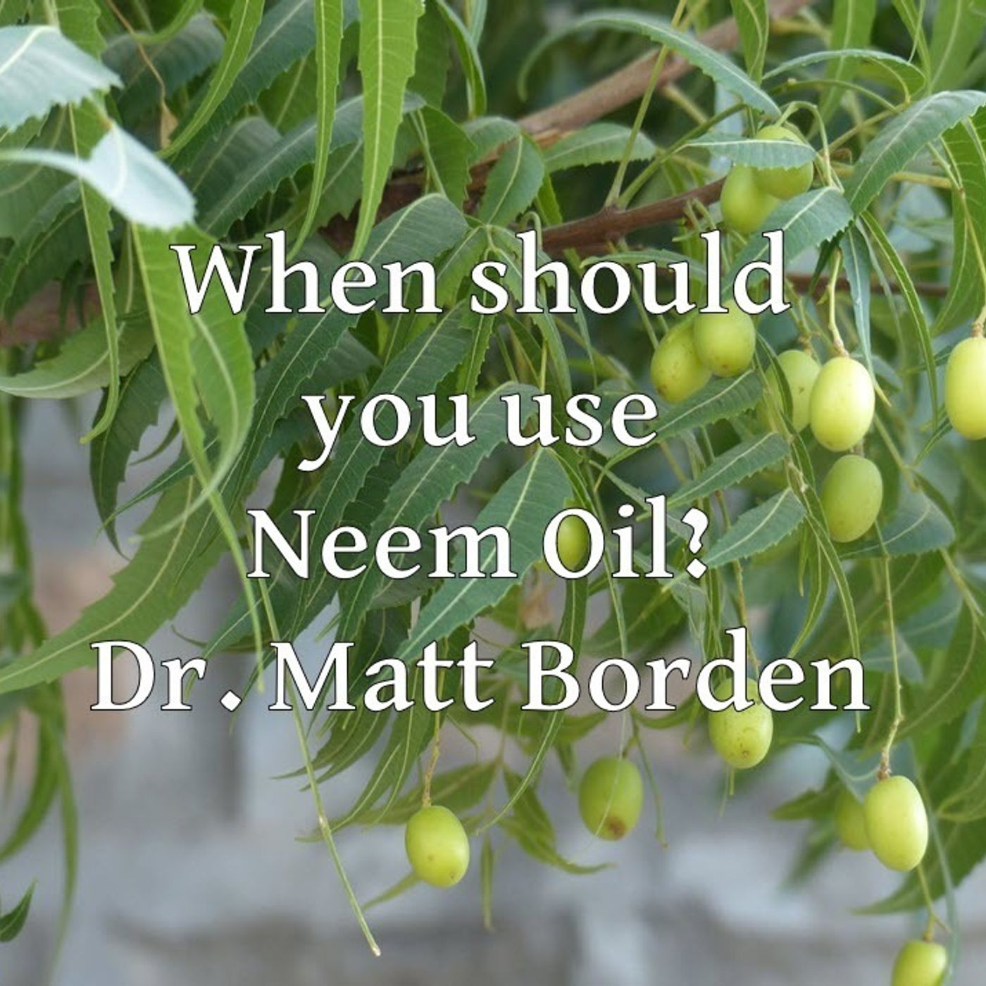 Better Lawns and Gardens Hour 1 - When Should You Use Neem Oil? November 20, 2021